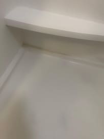 Black mold