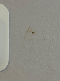 Food on the wall