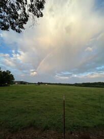 View from the driveway