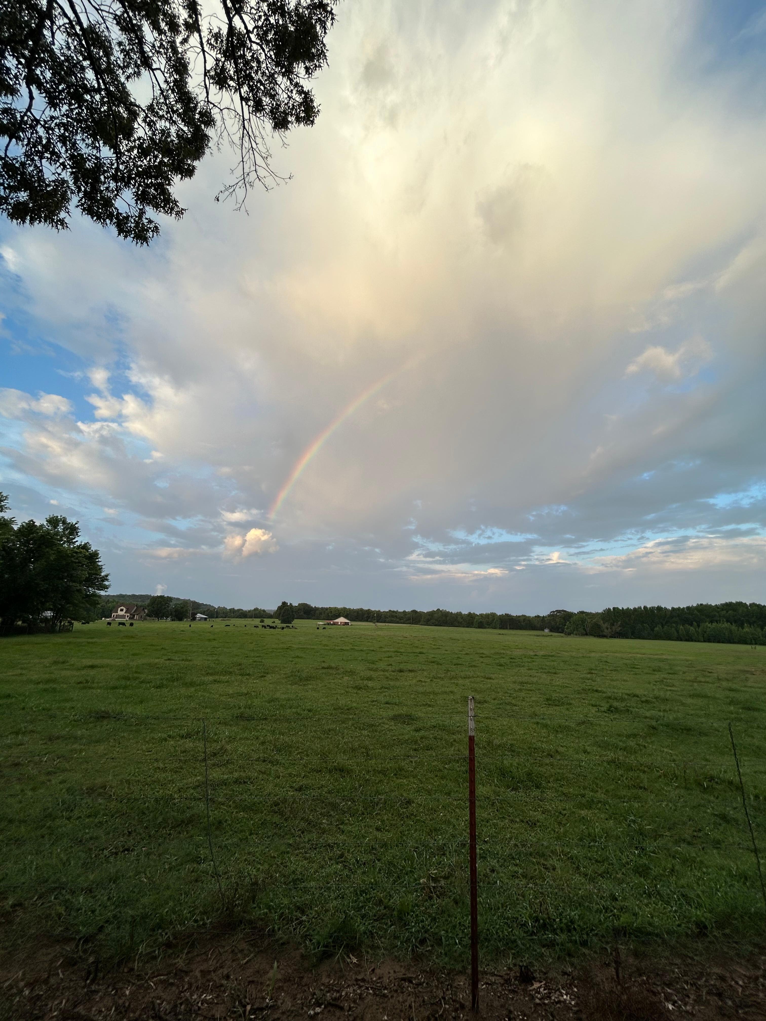 View from the driveway
