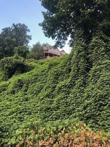The view from the gravel road below.
