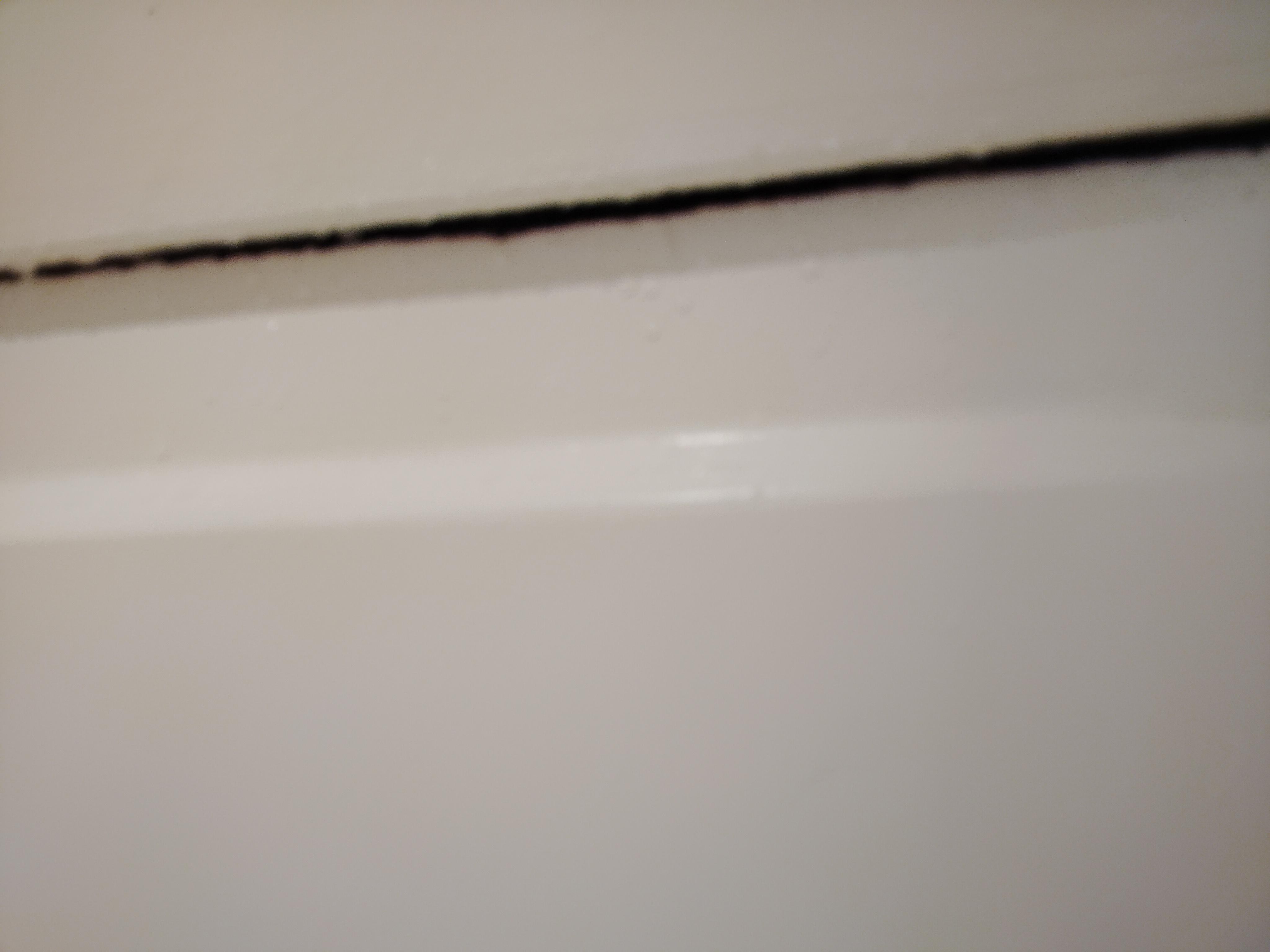 Mold 