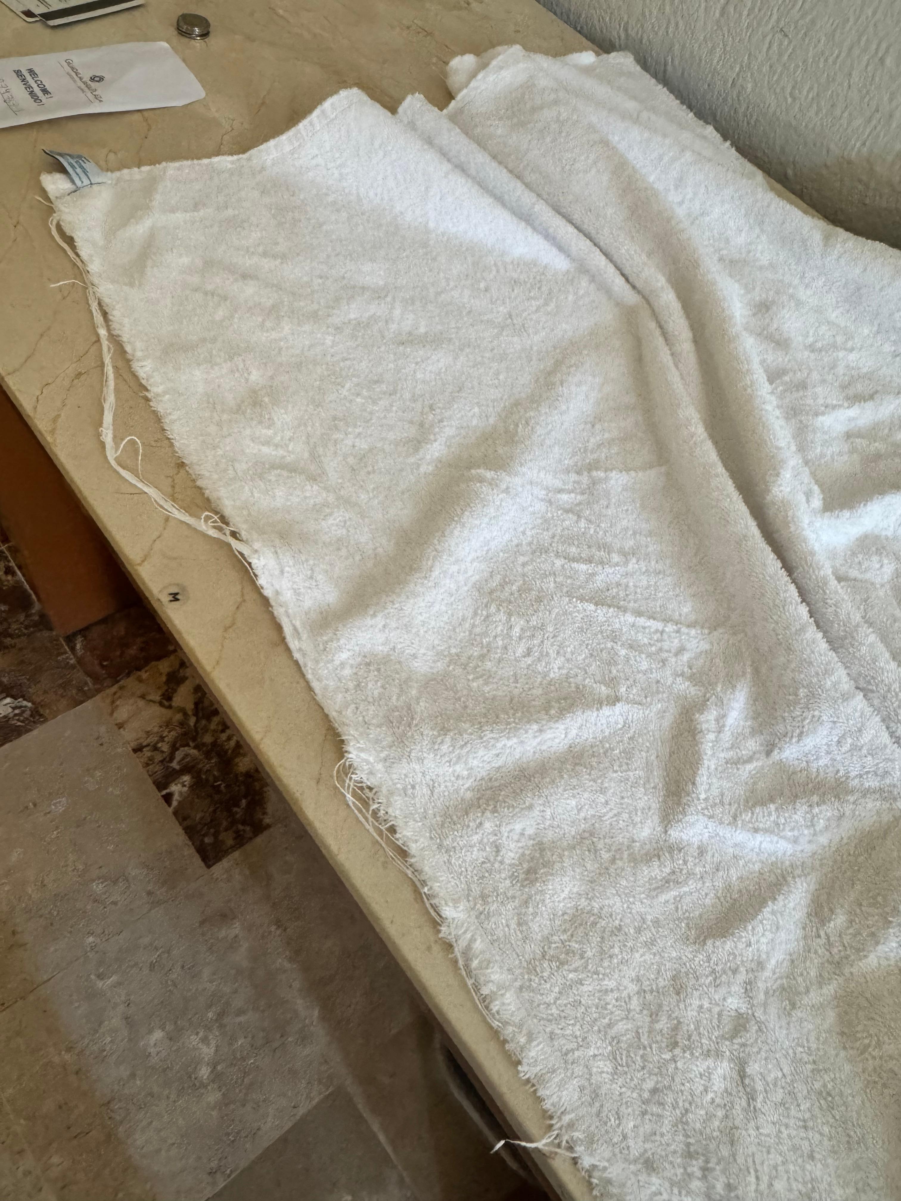 Stayed in the superior kidney size’s room and got ghetto towels