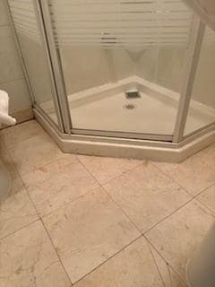 Mold and insalubrity