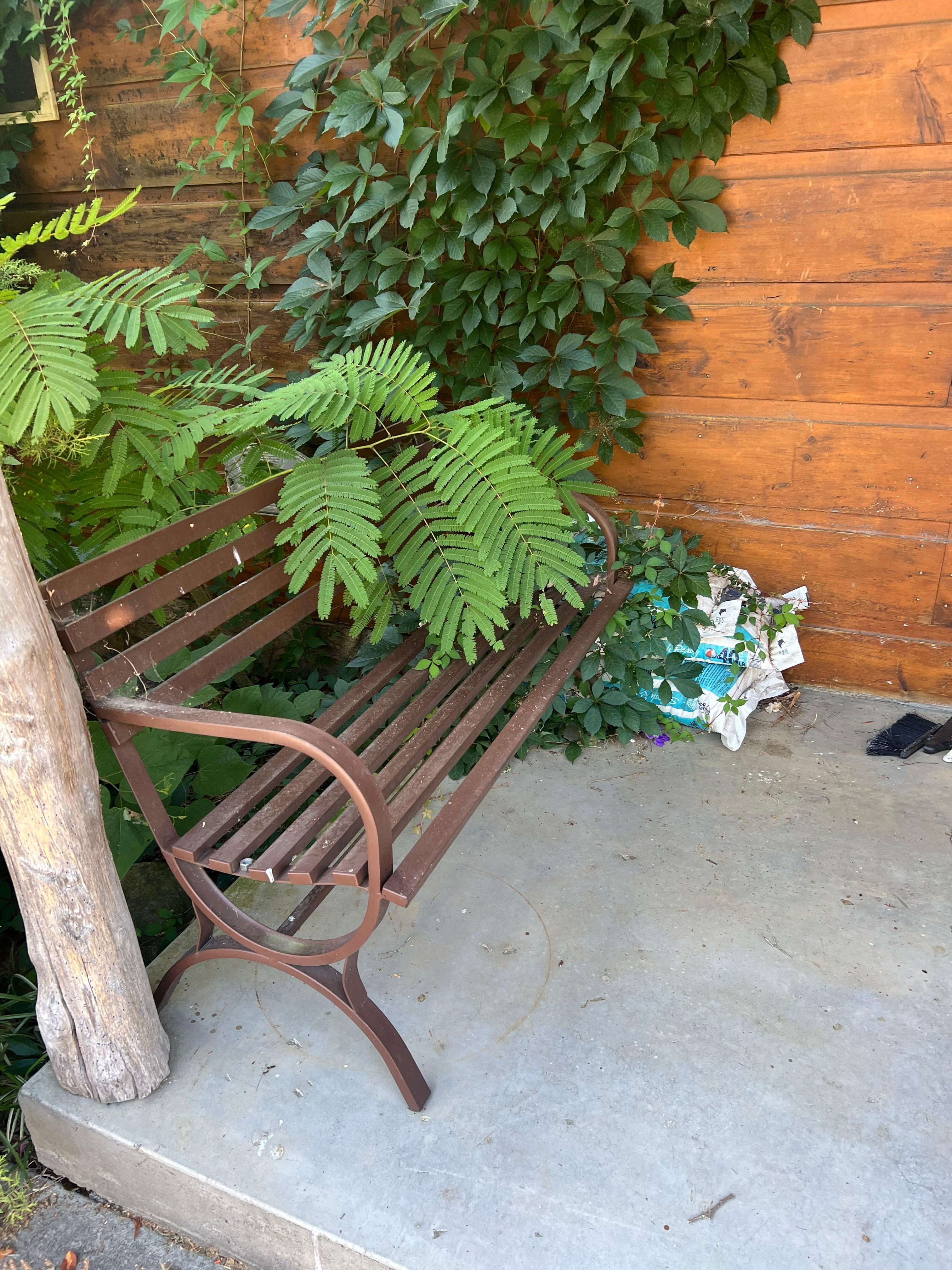 Trees over growing front bench