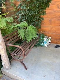 Trees over growing front bench
