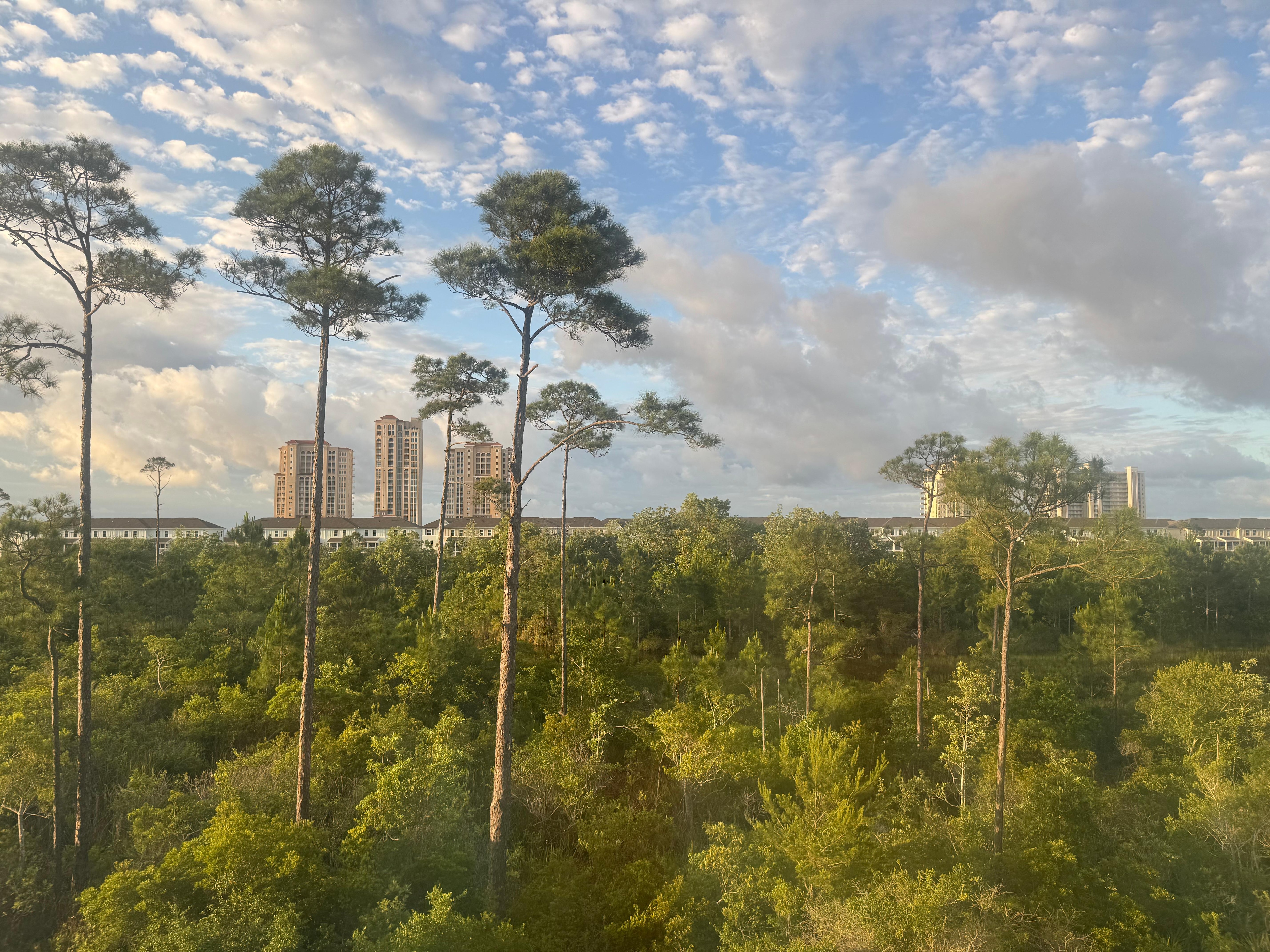 Beautiful view for morning coffee time