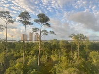 Beautiful view for morning coffee time