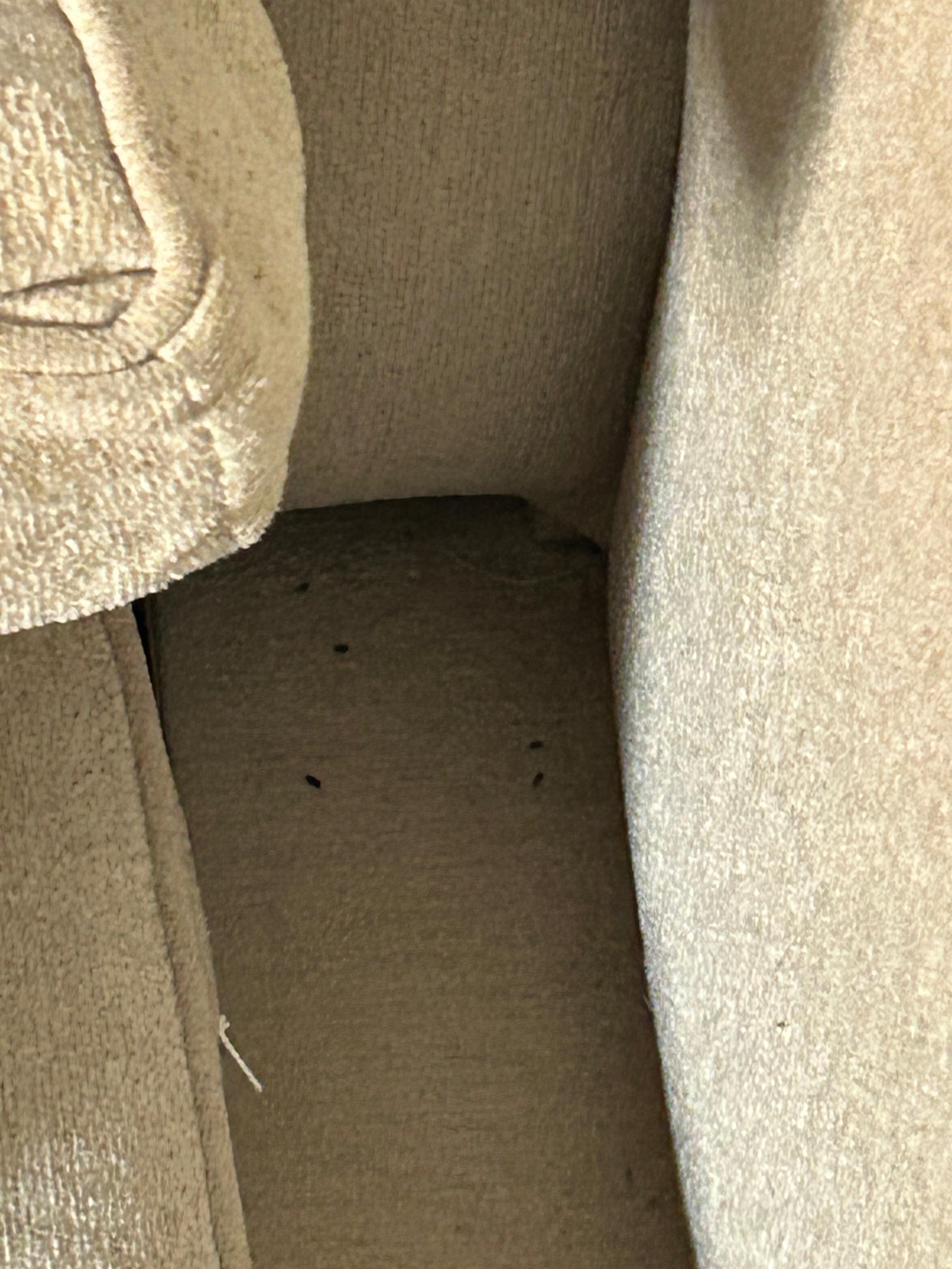 Rodent droppings in the couch.