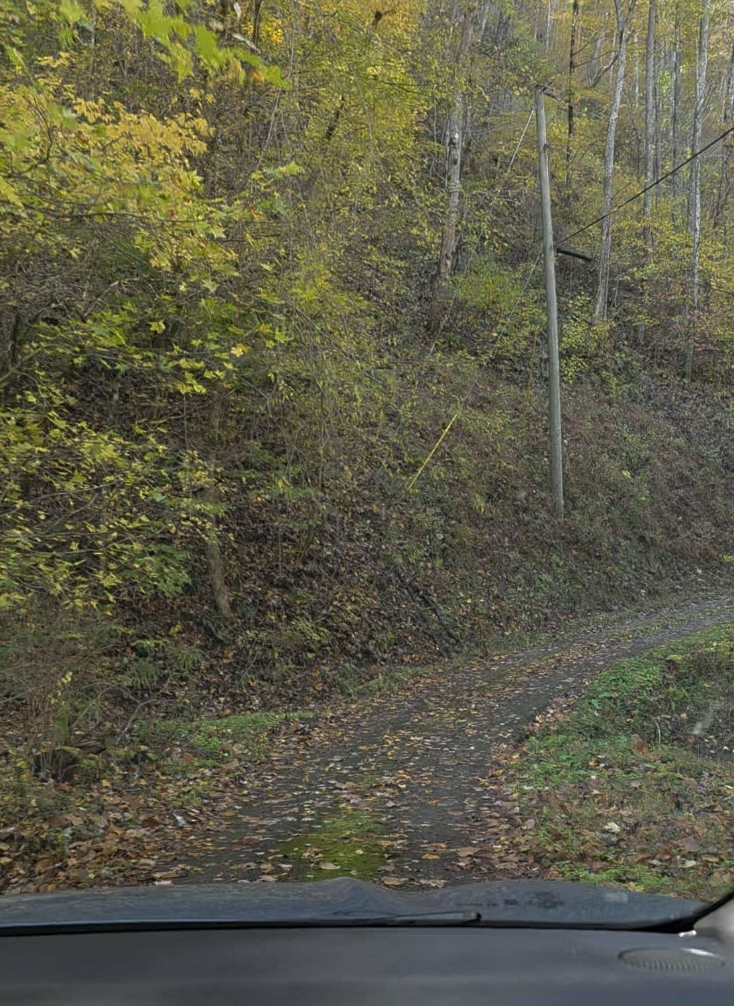 Sharing a few pictures of the road so future guests know what to expect.