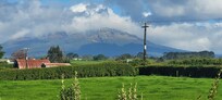 View from the Kitchen of Mt Taranaki