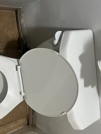 Hair. Toilet leaked and moved when you sat
