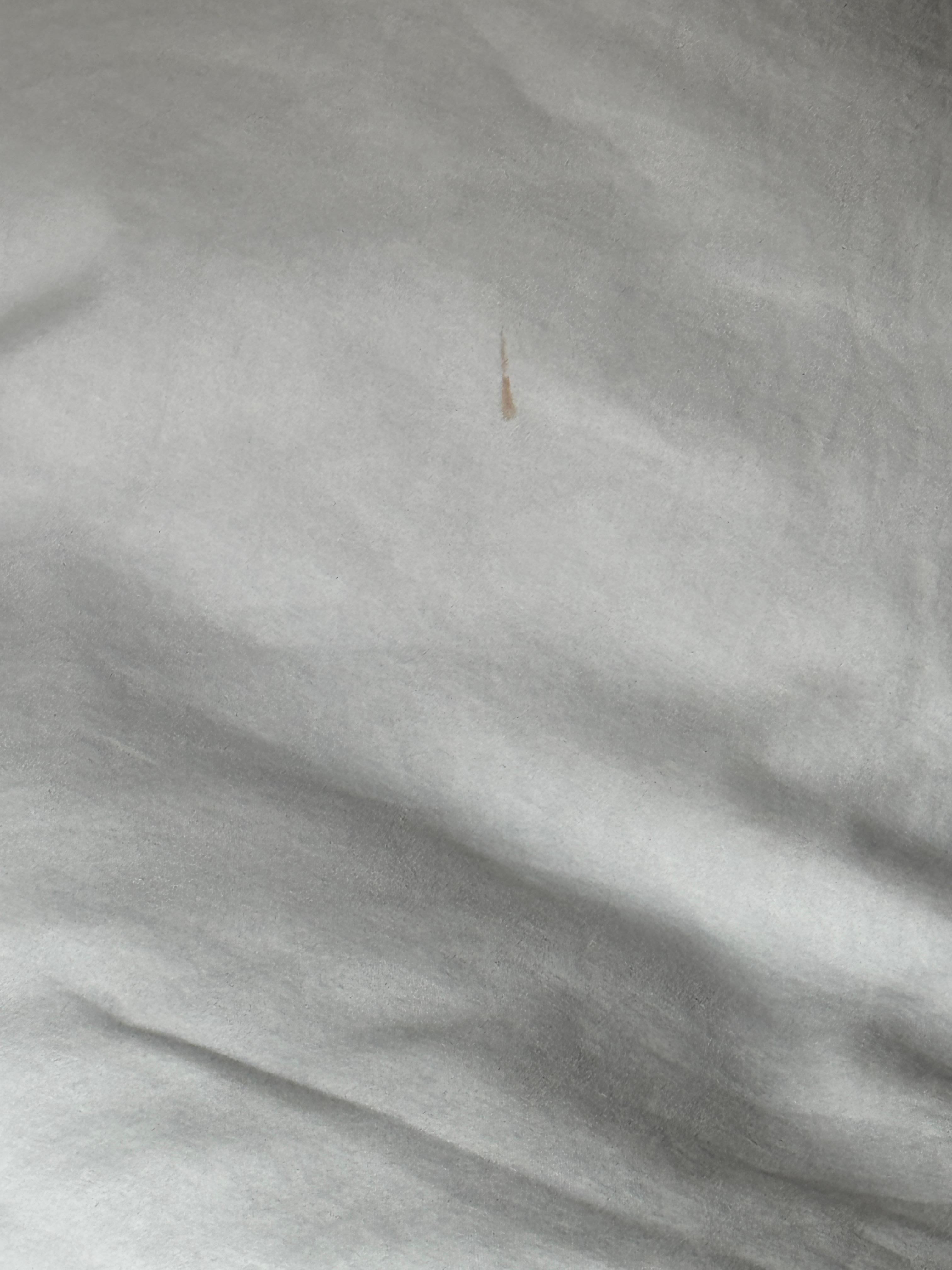 Bed sheets had stains and 