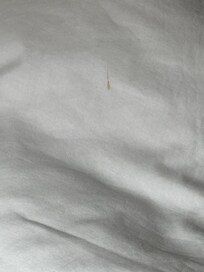 Bed sheets had stains and