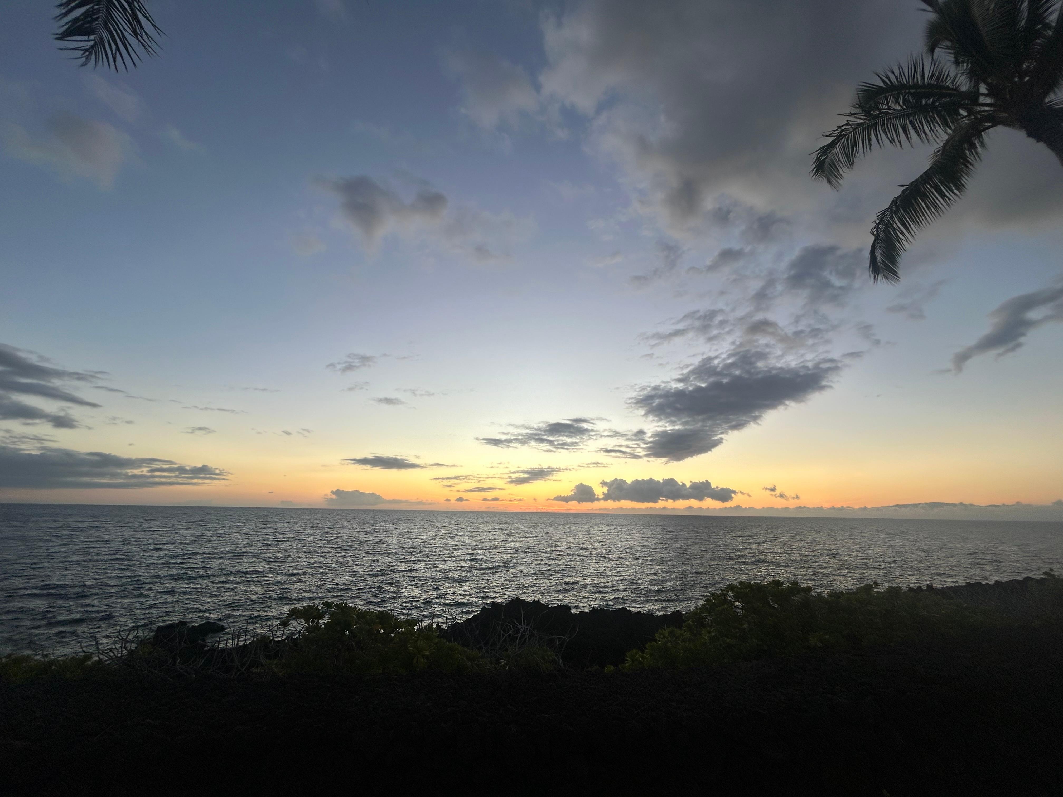 Bar view