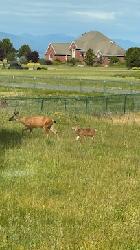 A look at the neighborhood