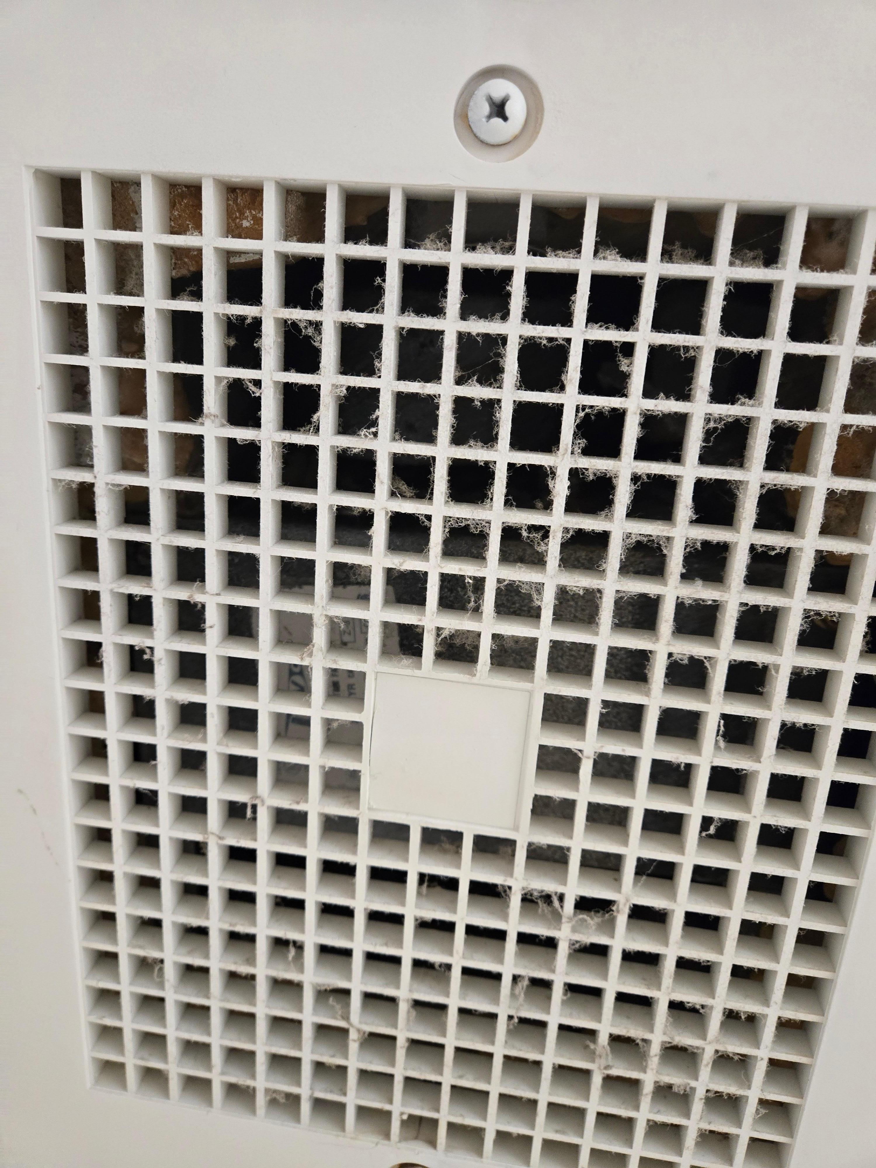 Dirty shower vent