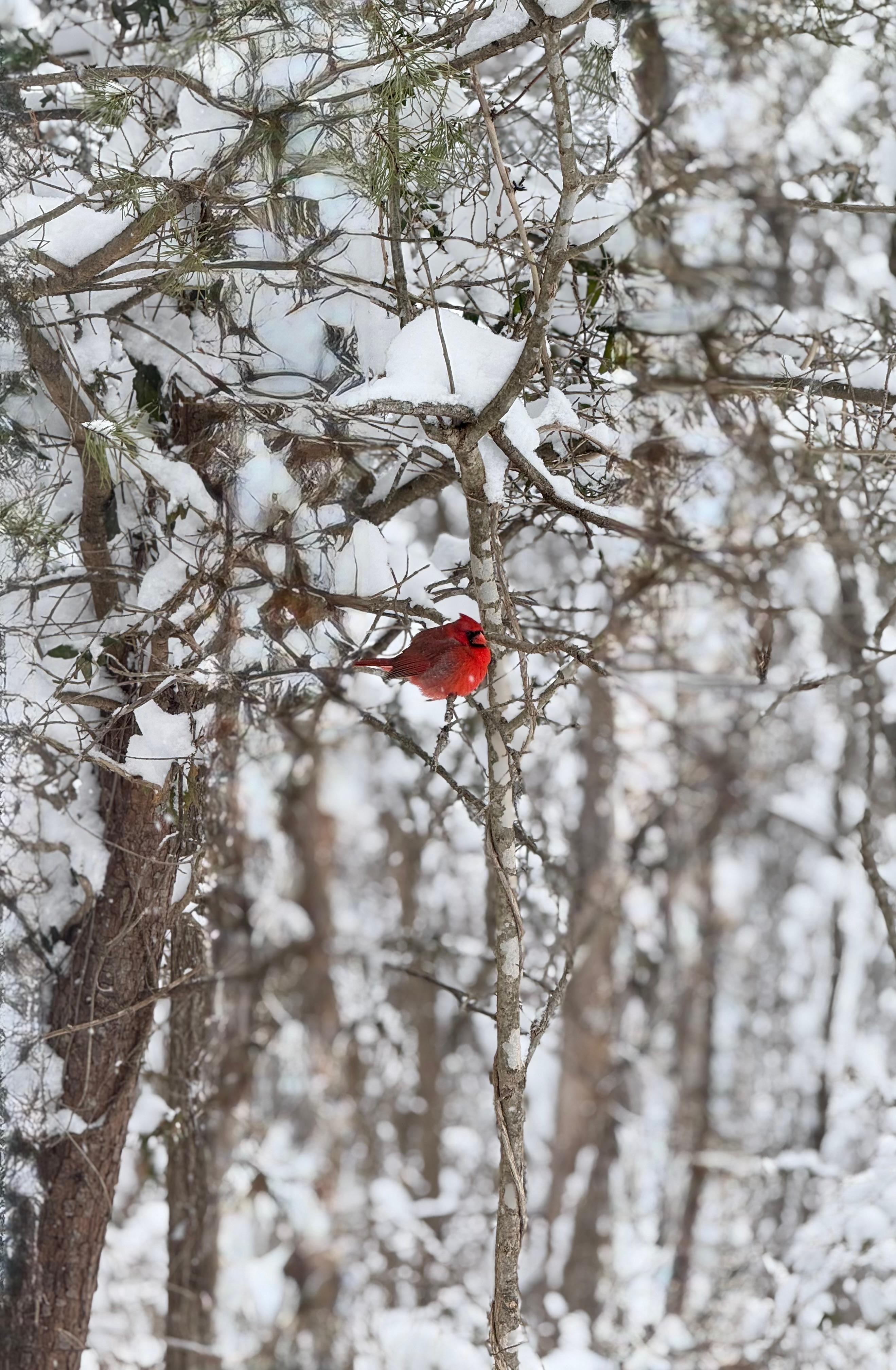 This is a stunning picture of Carl! 