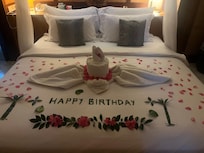 Tolle Aufmerksamkeit