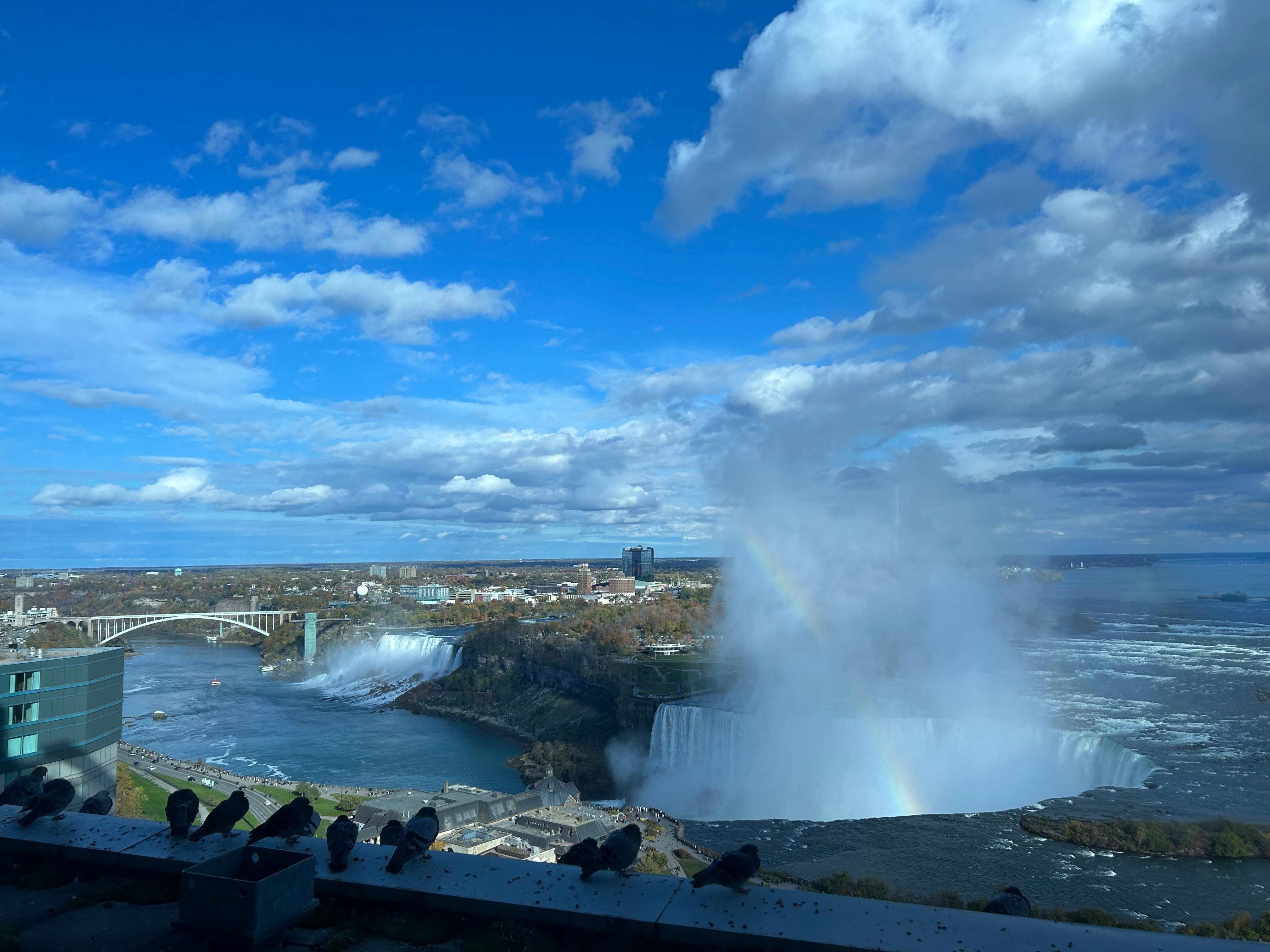 View (with pigeons😅)