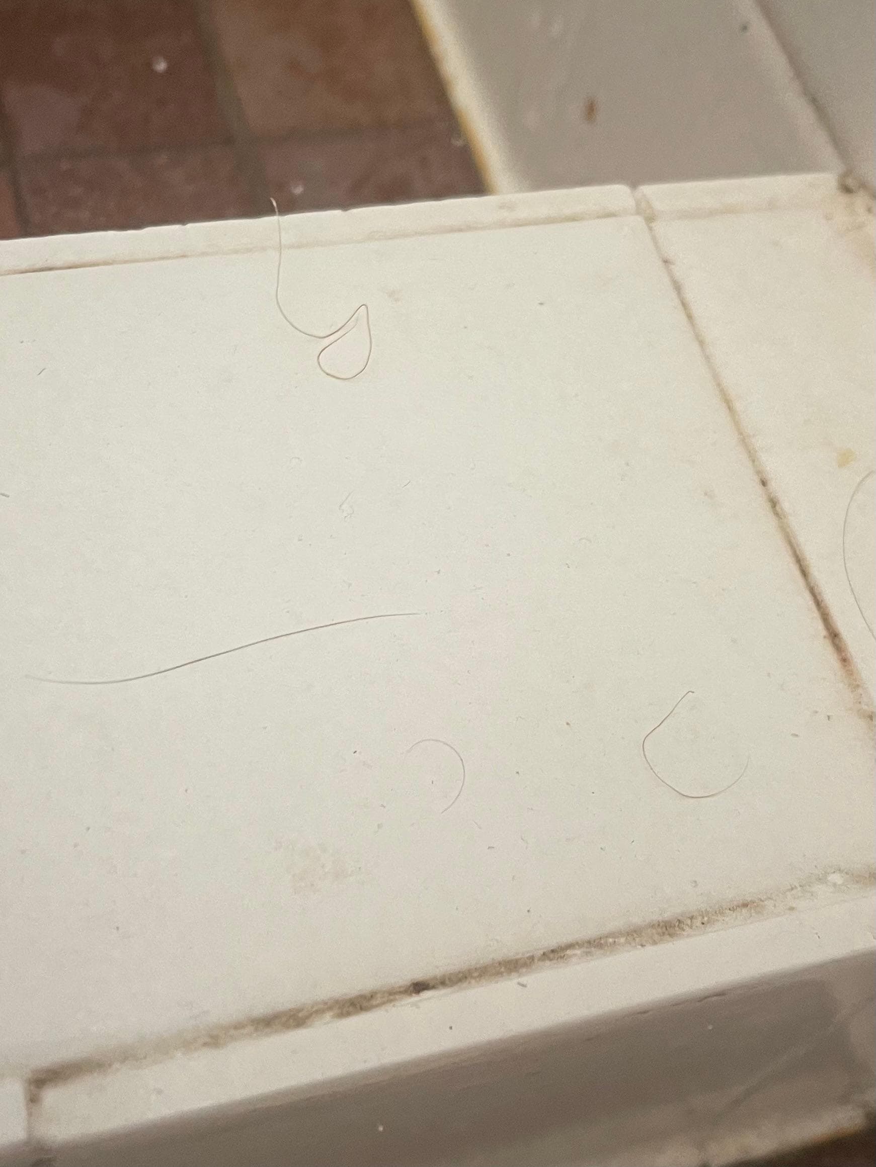 Hair on shower recess, clearly not cleaned regularly.