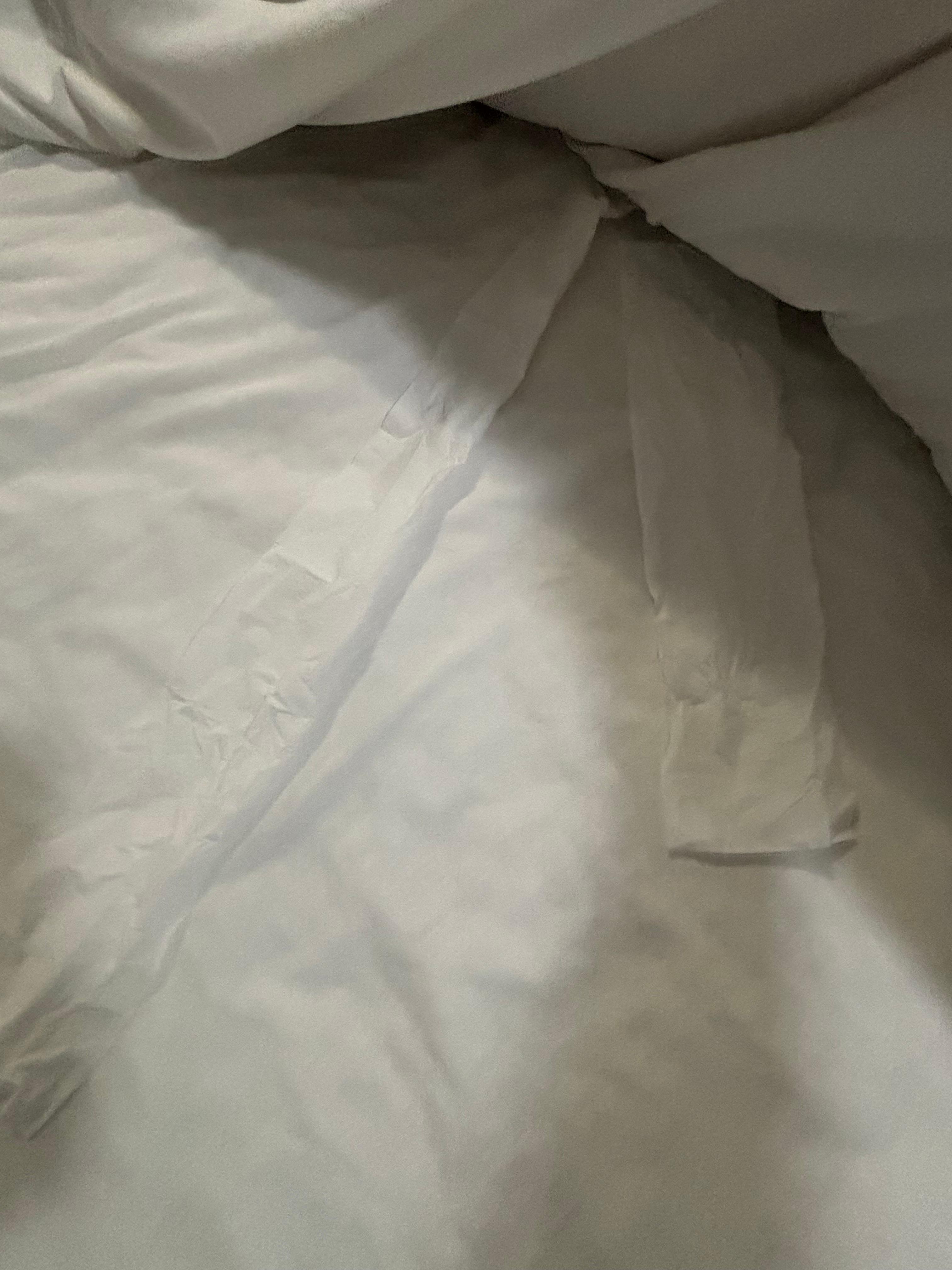 Toilet paper found under my bed sheets 