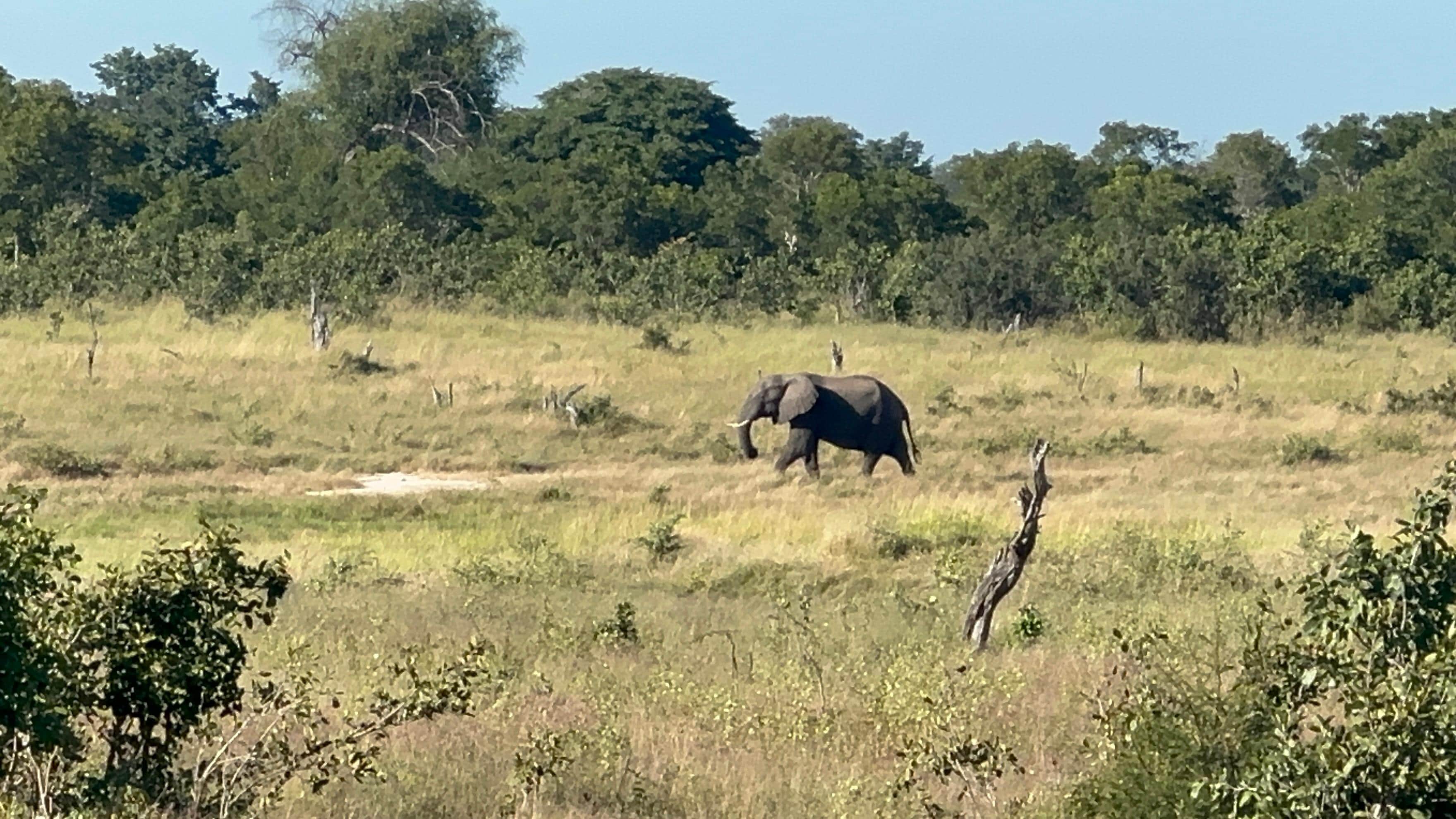 View from our tree-top villa