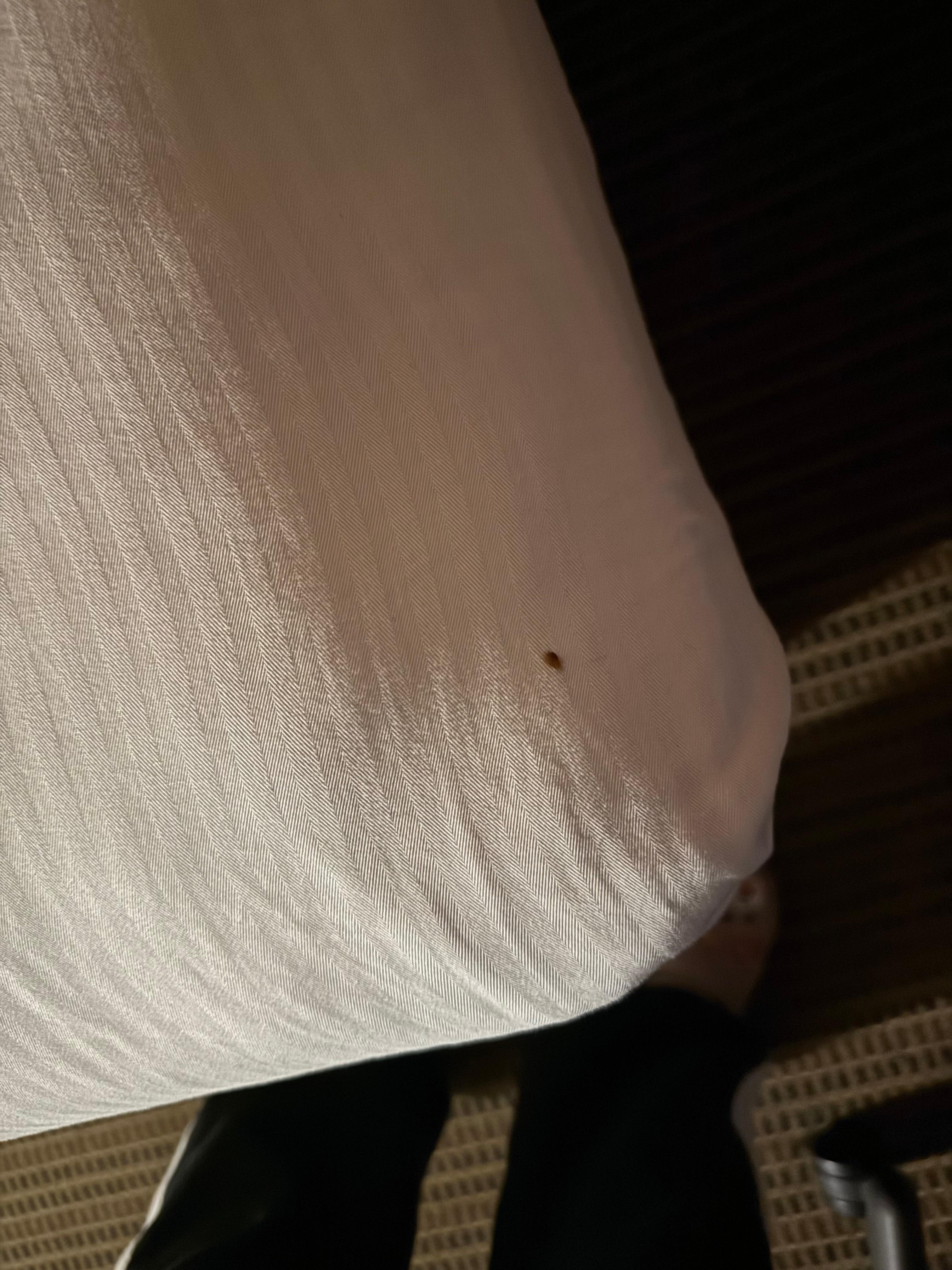 There were like 5 bed bugs crawling but I took videos that’s the only pic. Don’t stay here 