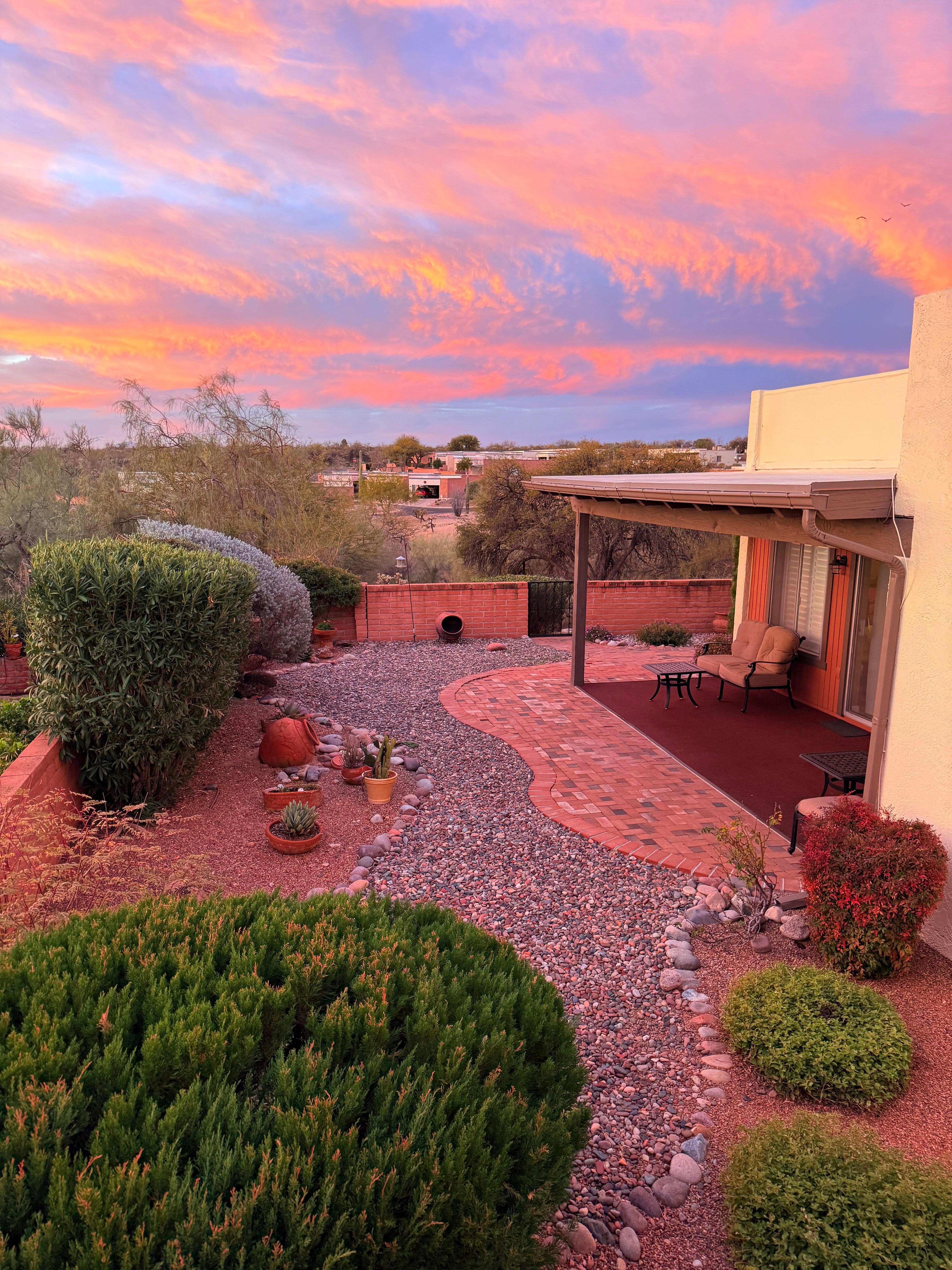 Sunrise from the backyard 