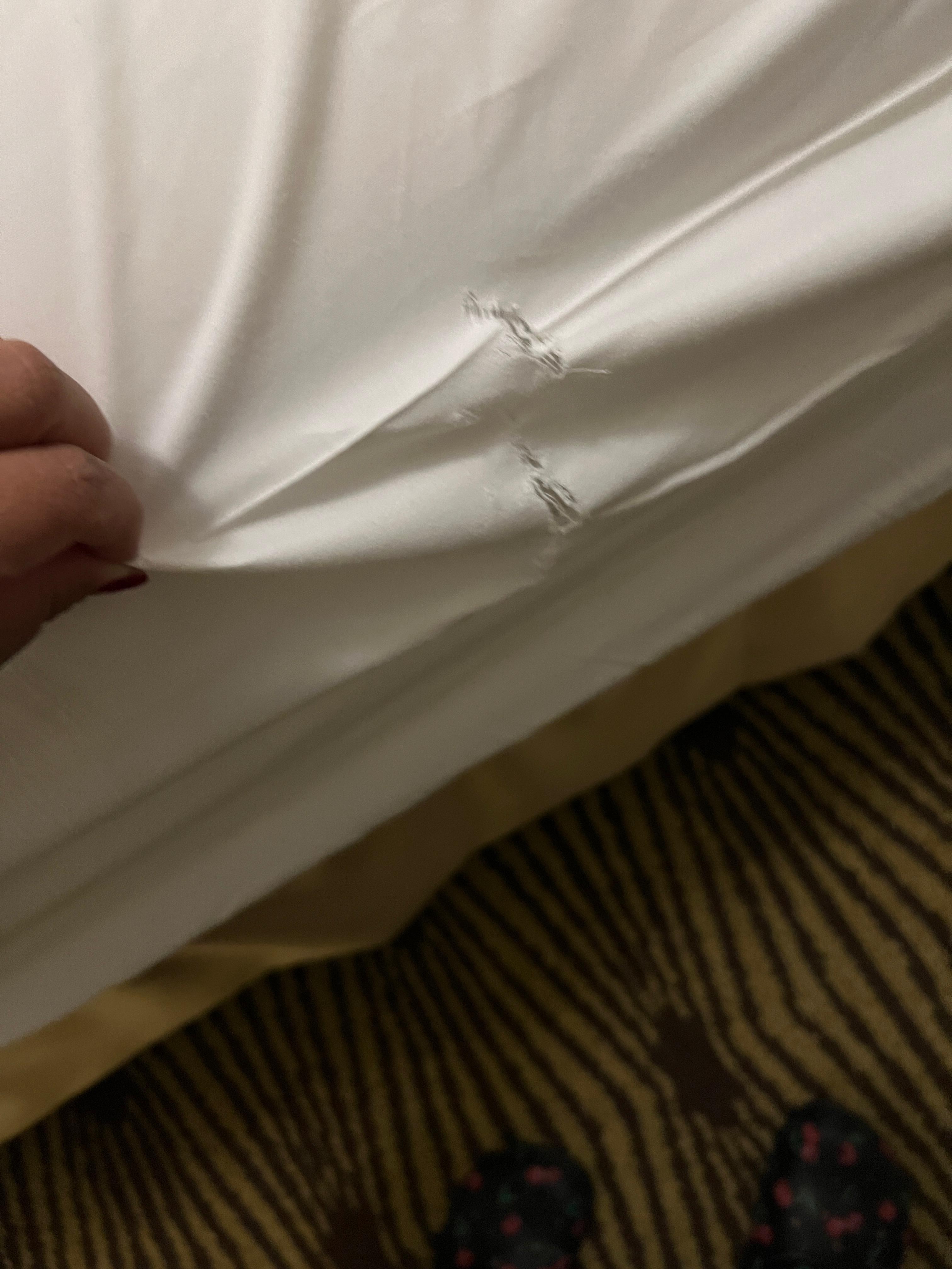 torn bedsheets