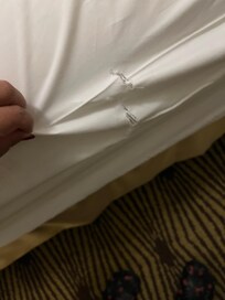 torn bedsheets