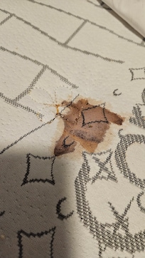 Blood stains on the mattress