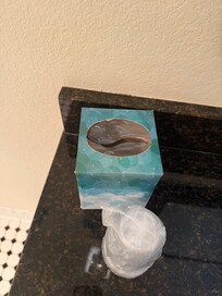 No tissue. Just an empty box.
