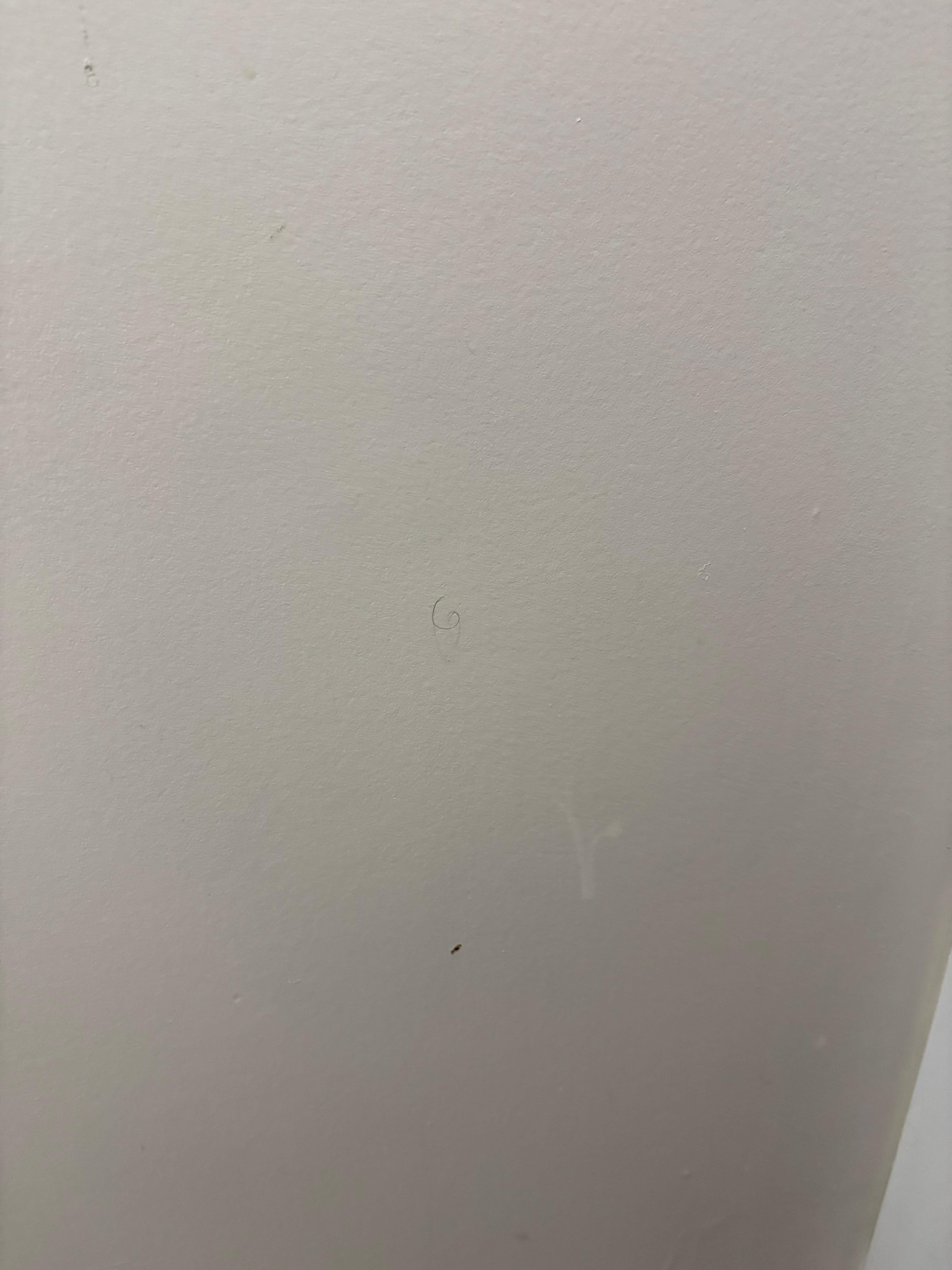 Bathroom wall