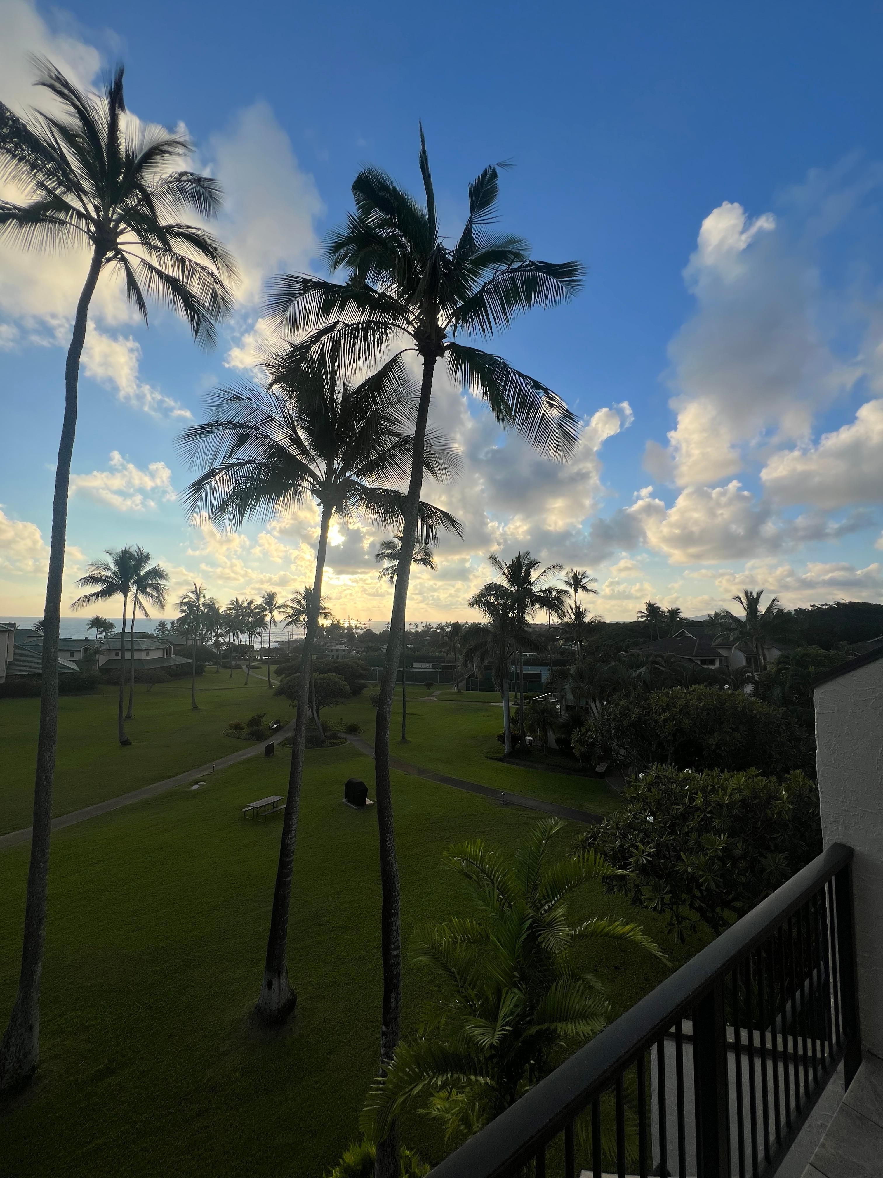 View from the balcony.