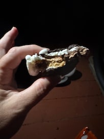 S’mores on the deck were tasty 😉