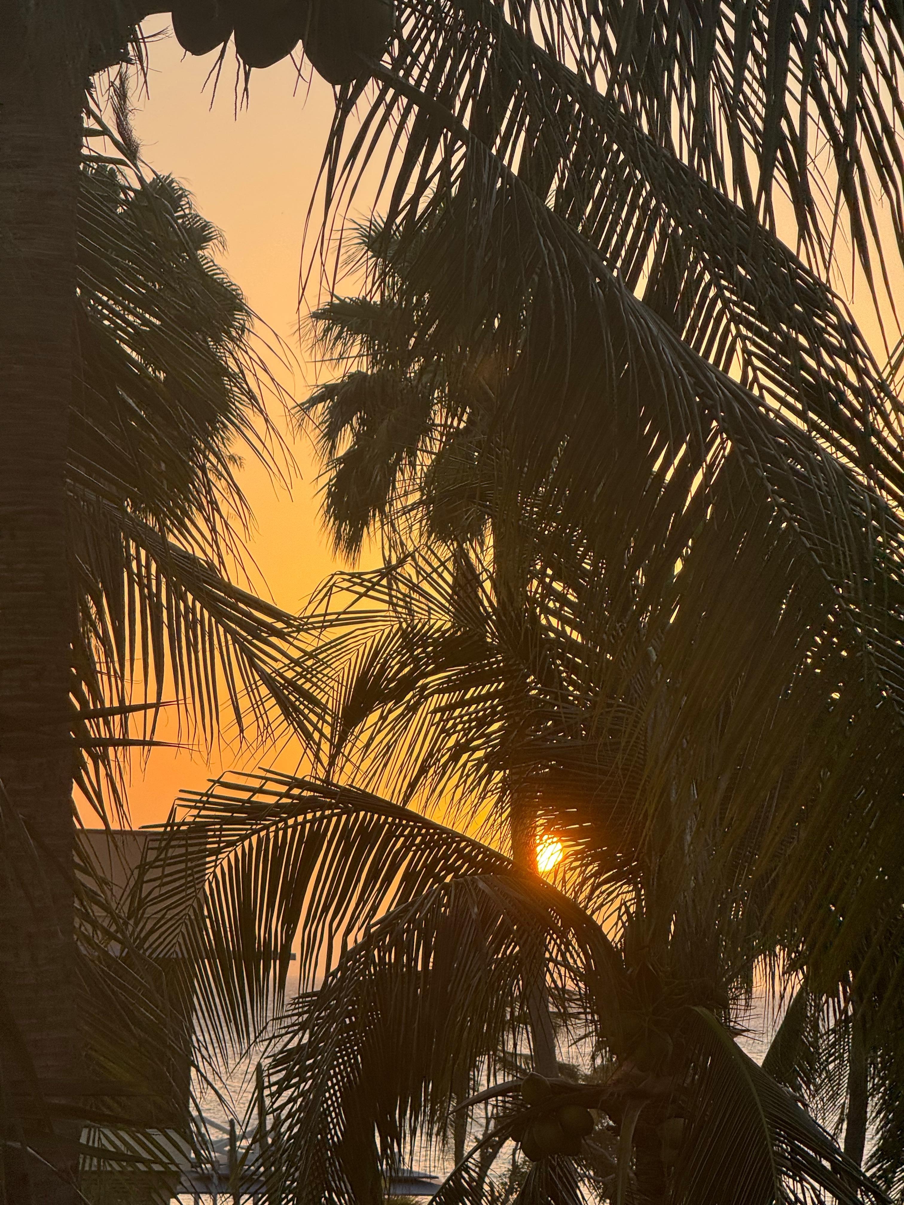 Sunset view from room balcony at Divi Golf