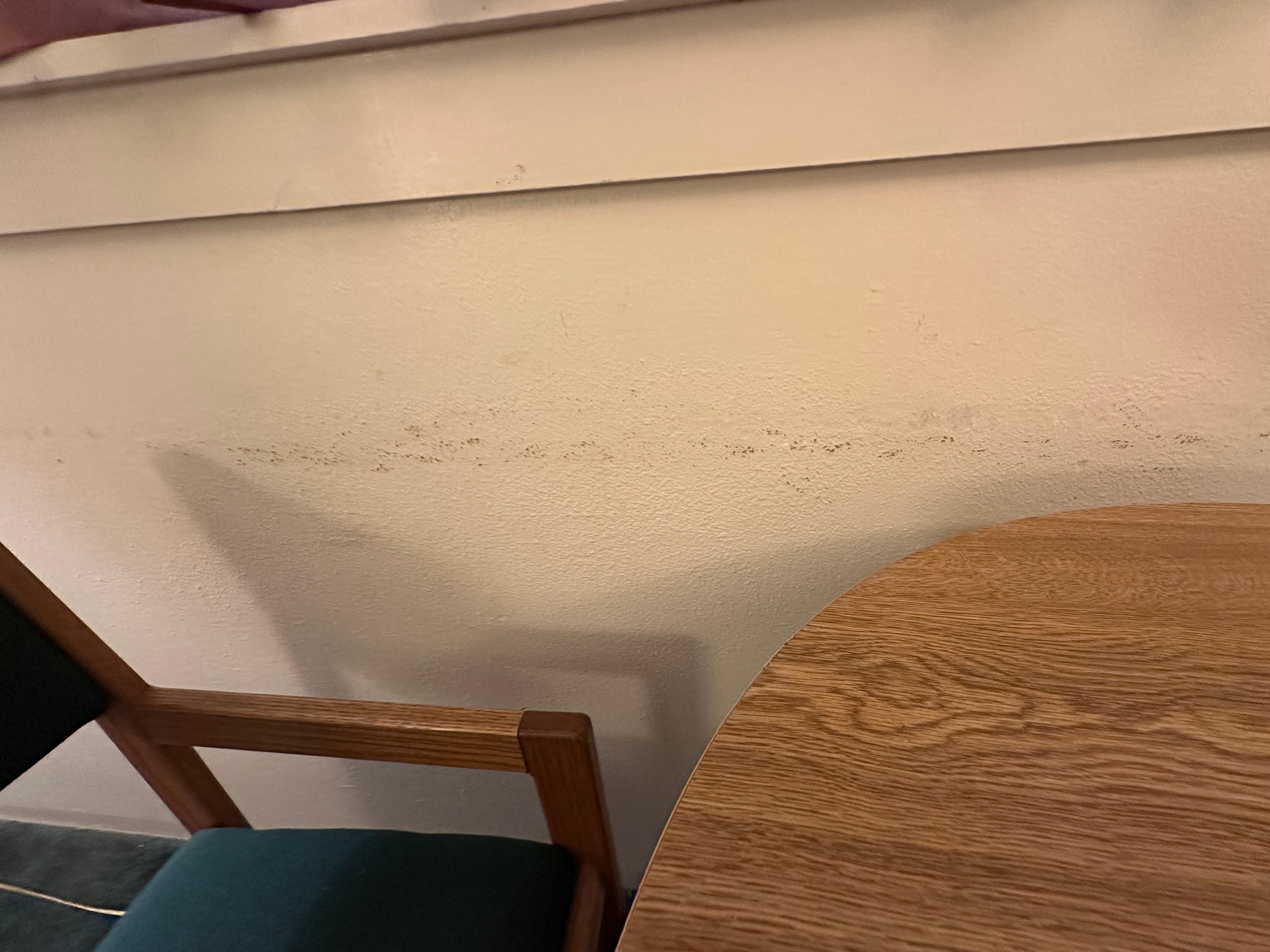 Easy paint job, most of the walls could have been wiped down with visible filth on them.