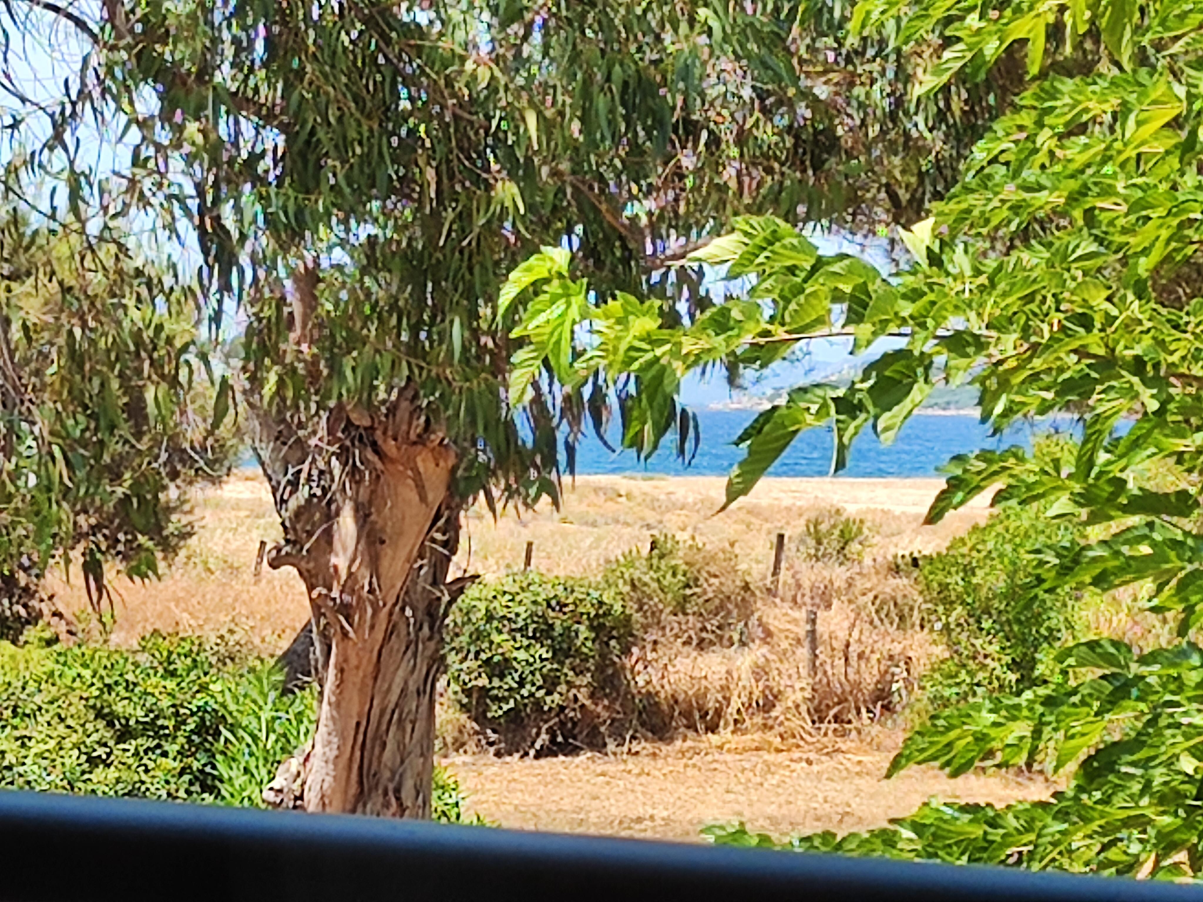 Vue du balcon.