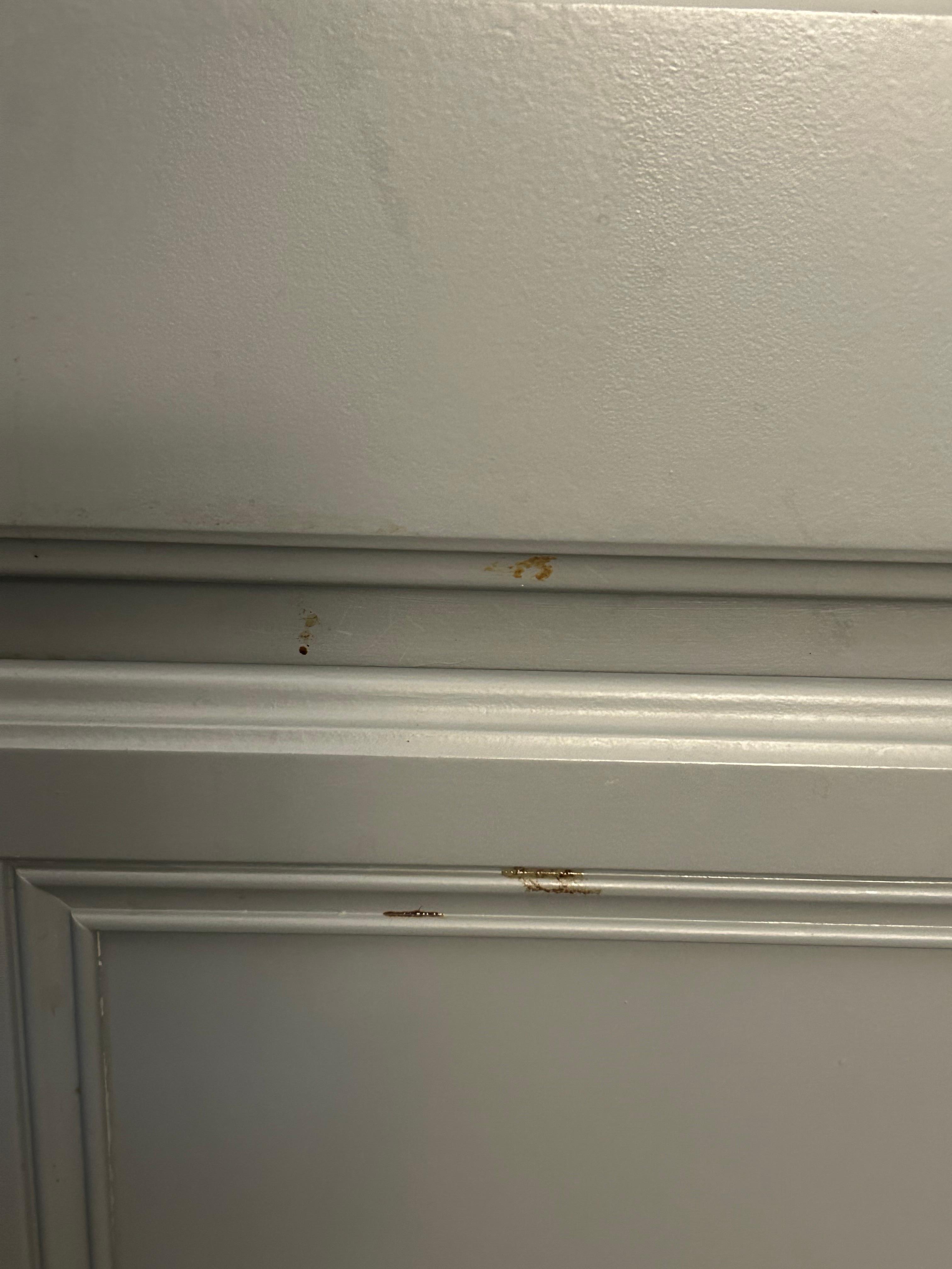 dirty stained spots on cabinets beside refrigerator in room