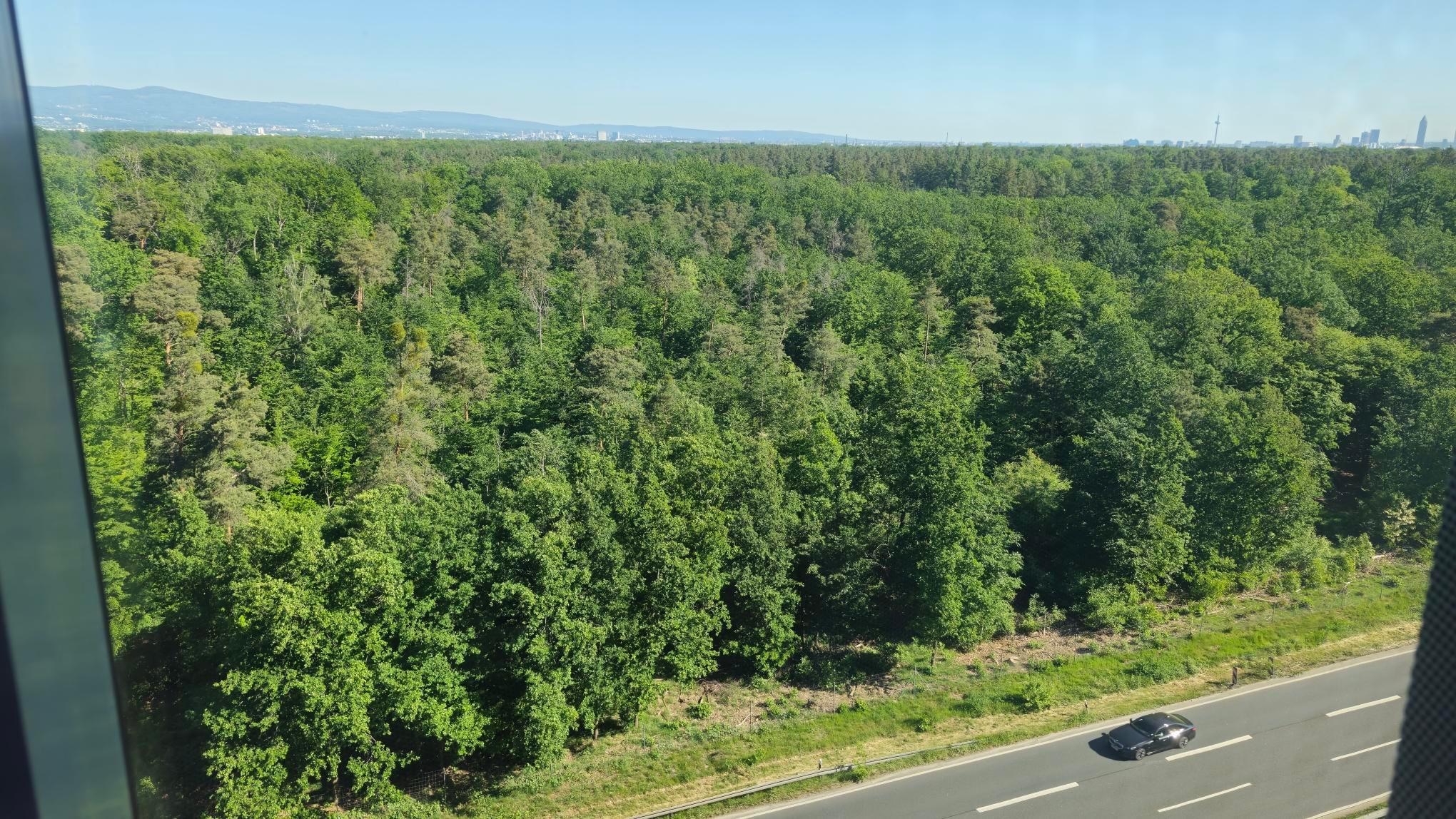 Room View