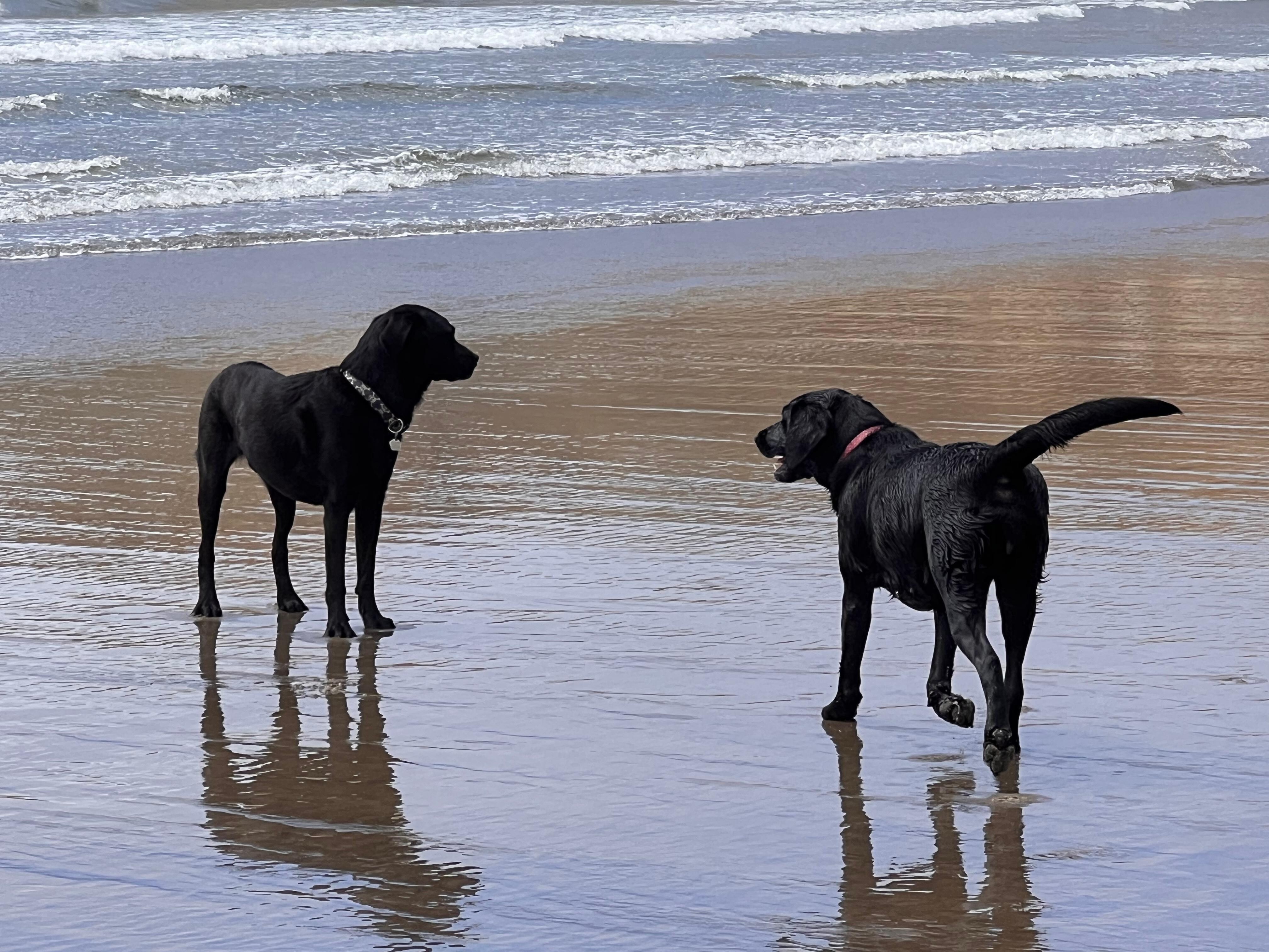 You go,...no, you go,... no you go please and tell me how cold the water is,...
