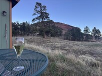 Nice view from back patio.