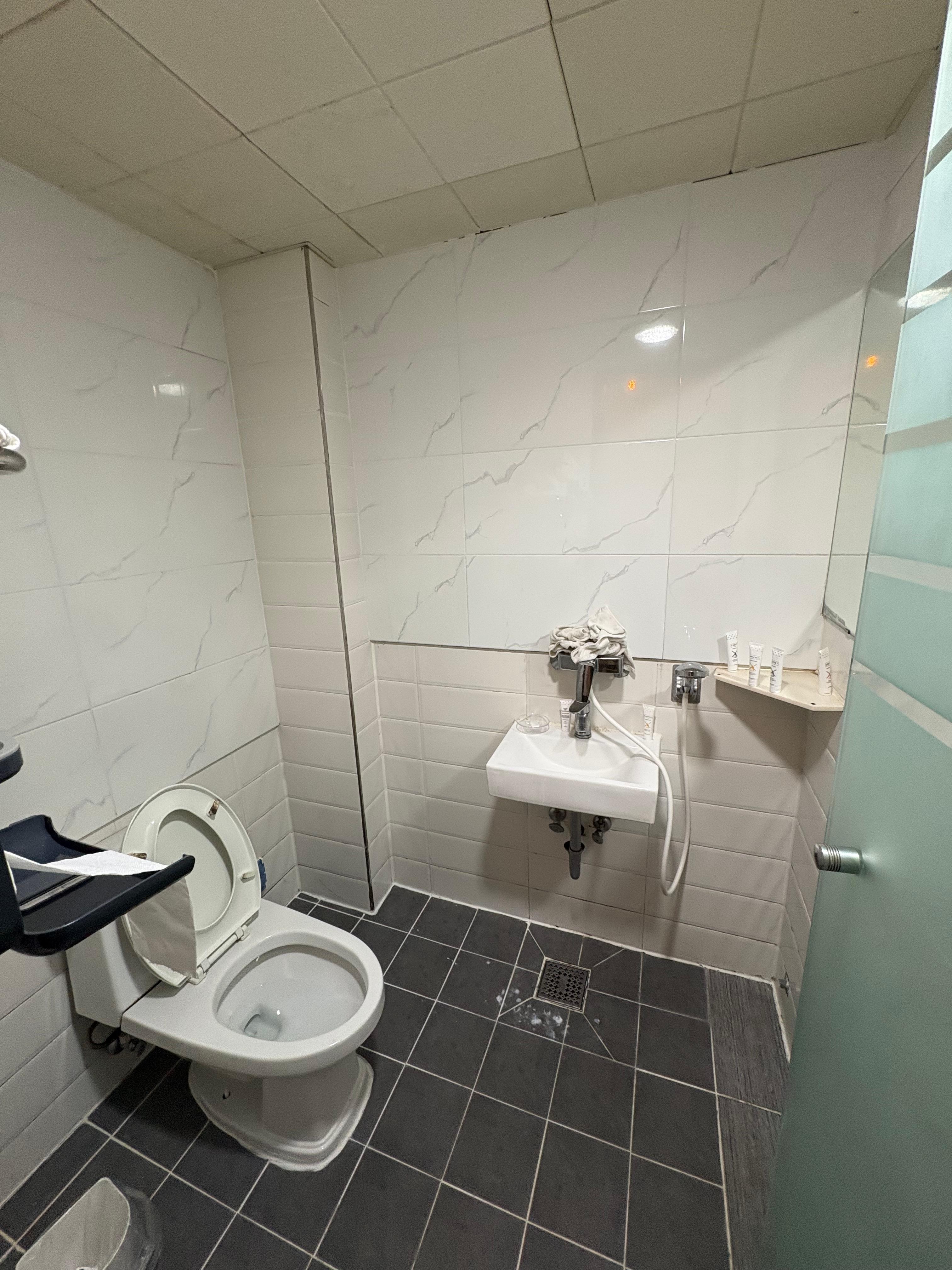 Bathroom has no real shower area
