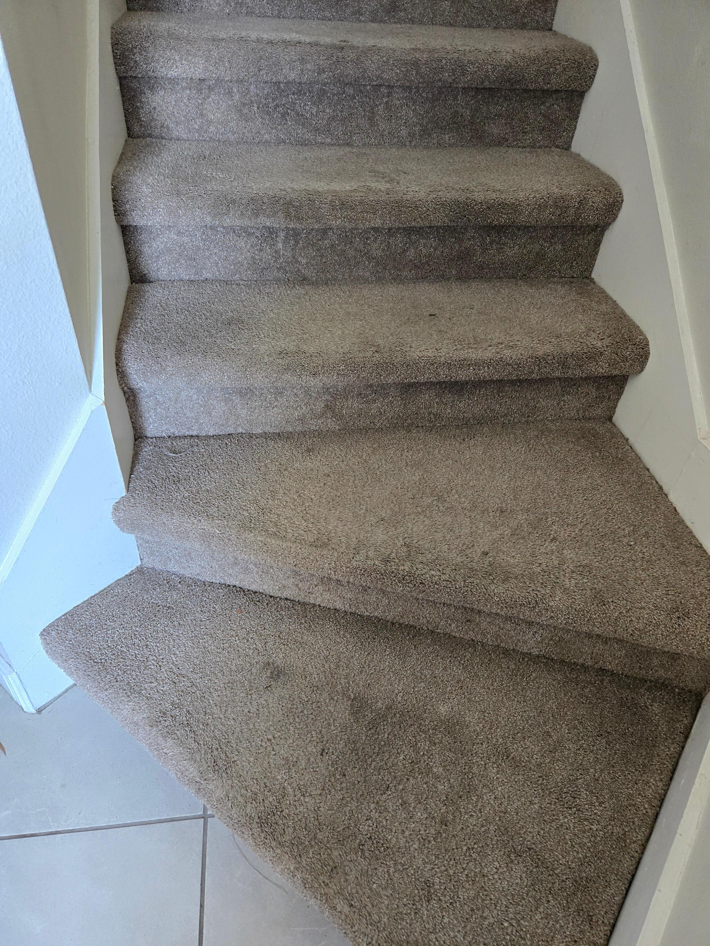Smelly and stained dirty carpets