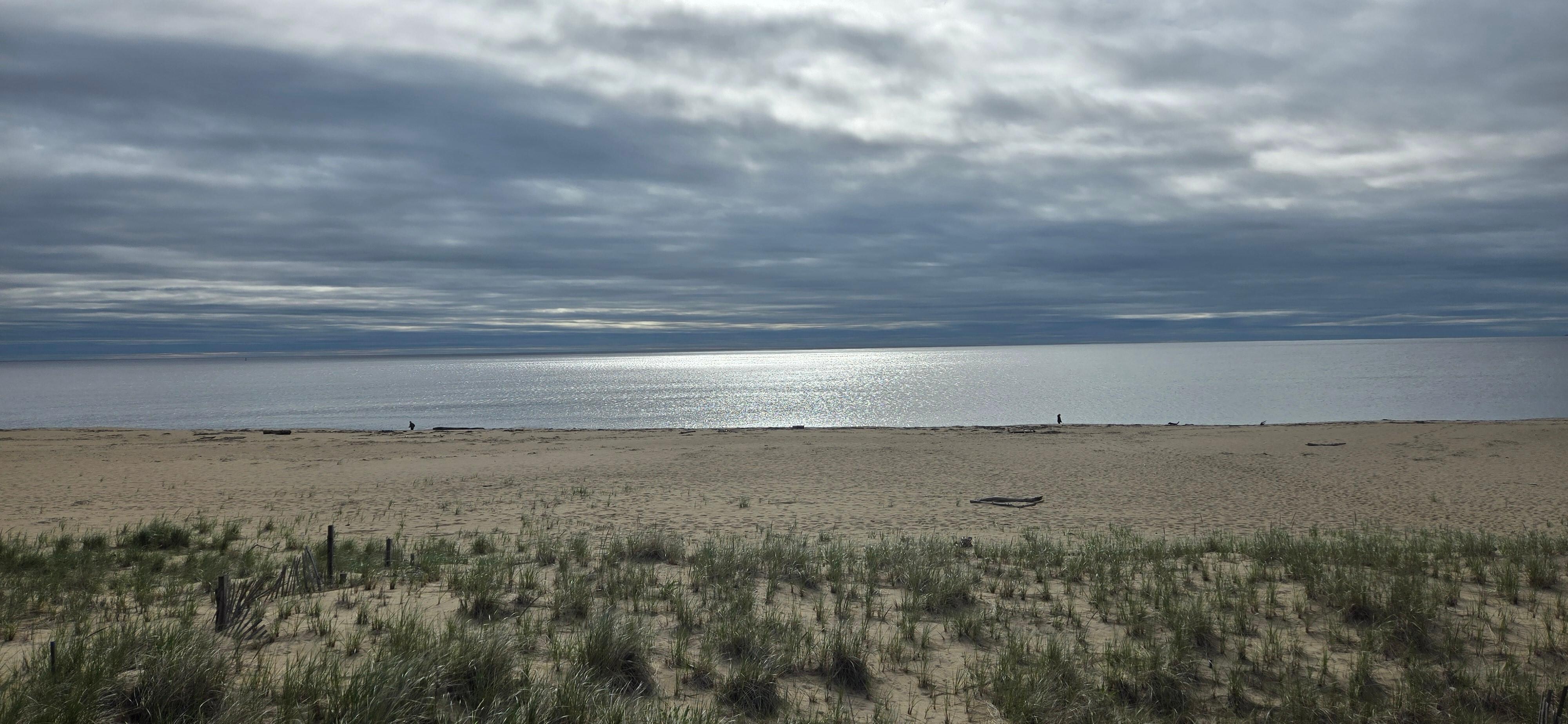 The beach