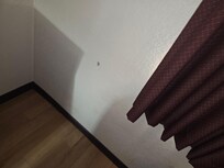 Holes in the walls