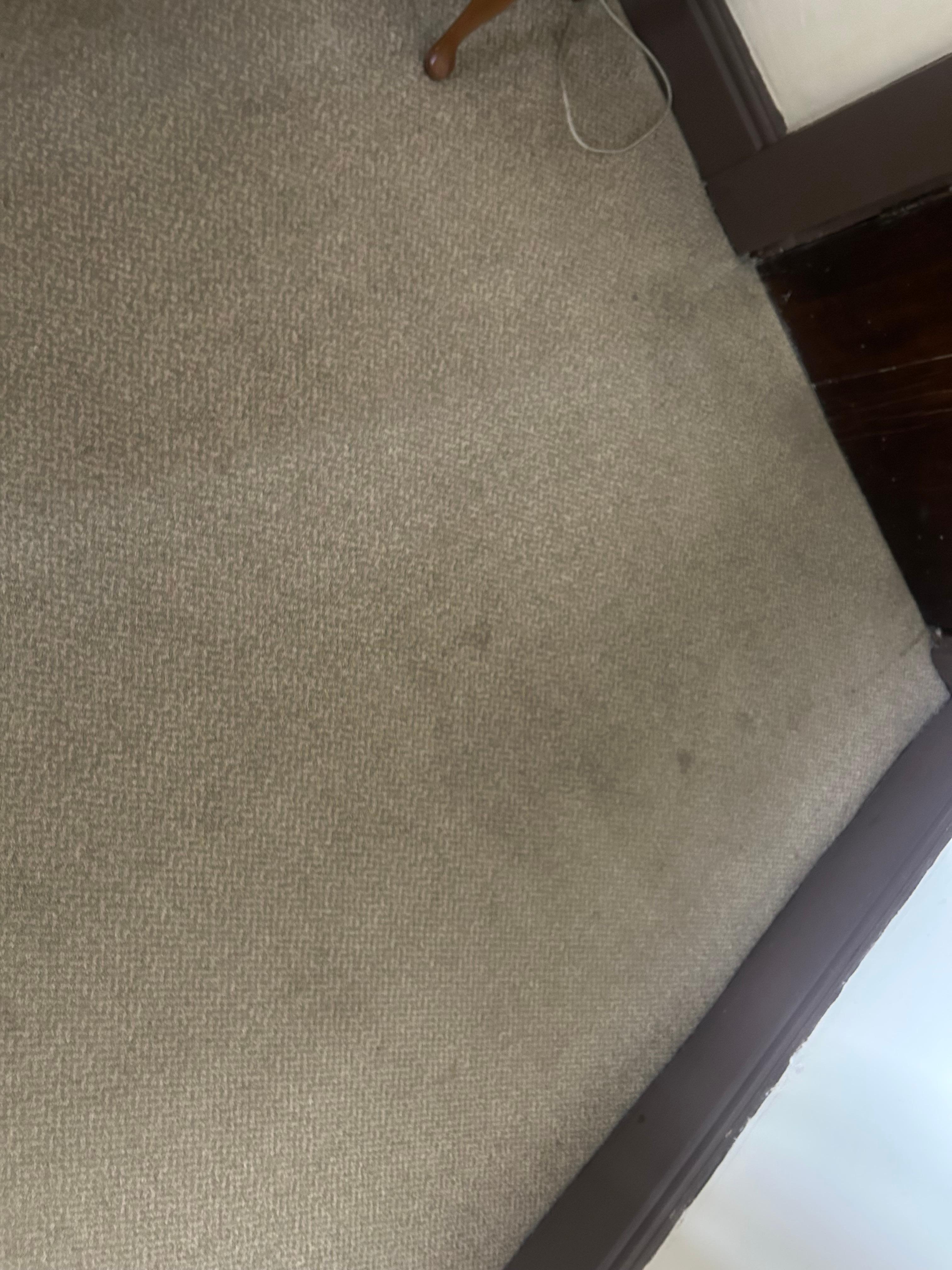 Stained carpet in room 