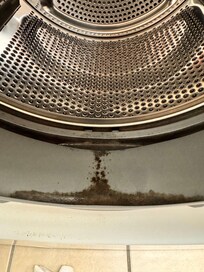 Washing machine appeared to have mold or bacteria
