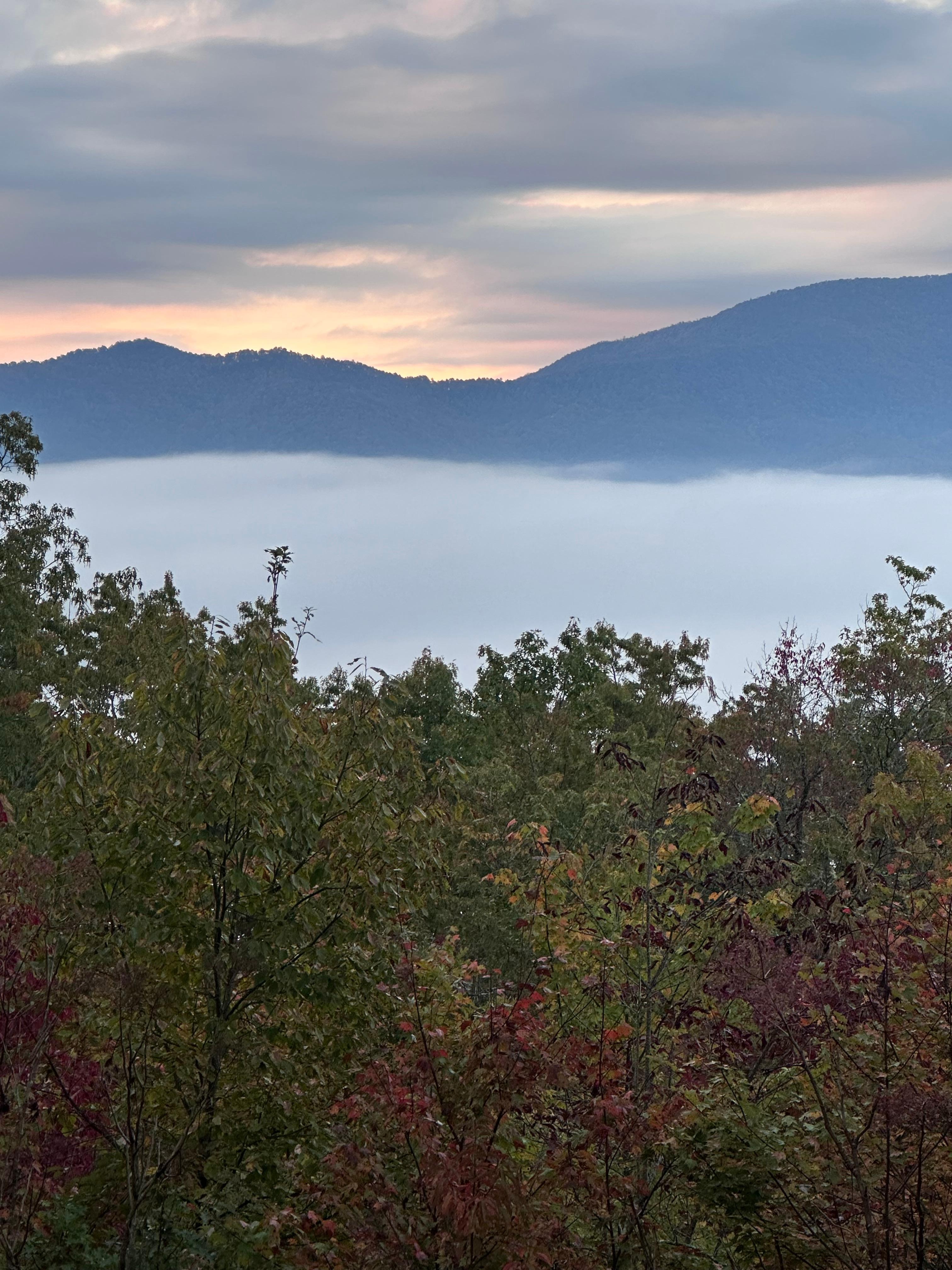 Morning view from porch 